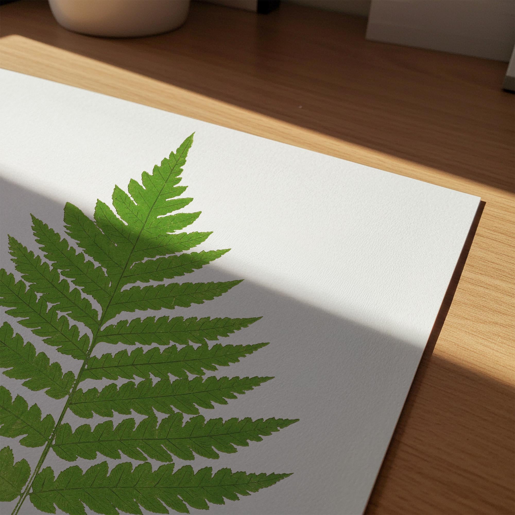 Vintage Fern Botanical Wall Art Print-Skudaboo