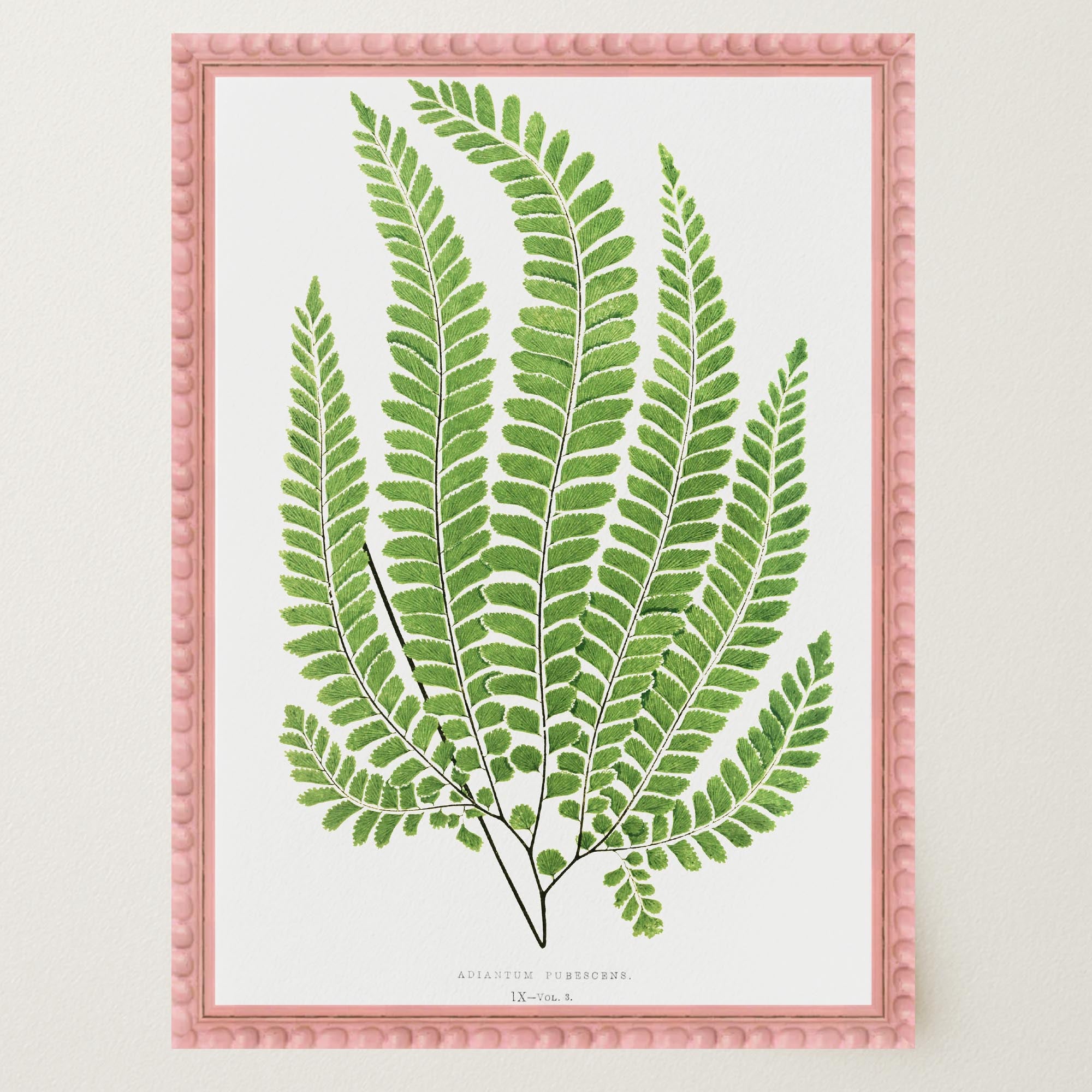 Vintage Fern Botanical Wall Art Print-Skudaboo