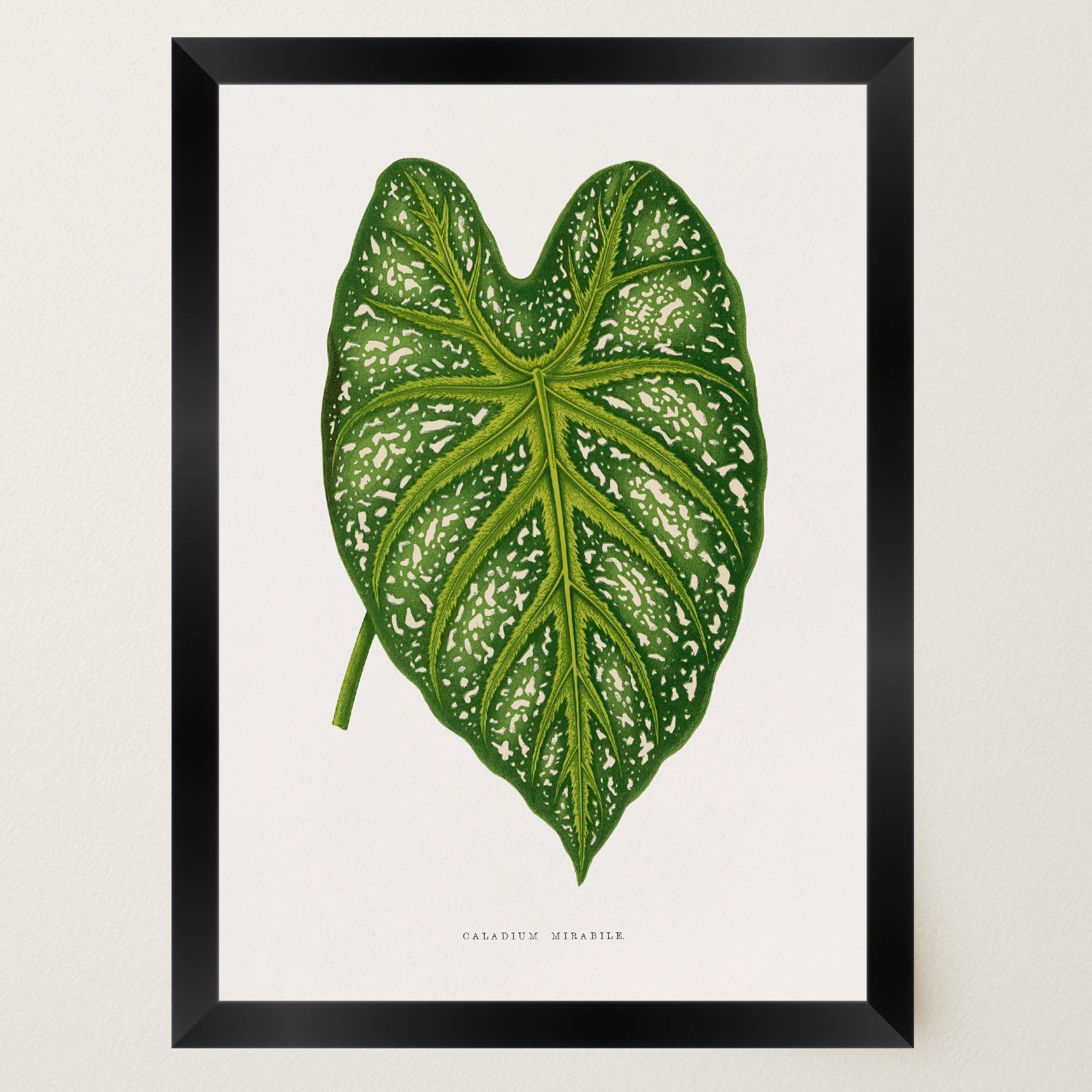 Green Leaf Botanical Vintage Wall Art Print-Skudaboo