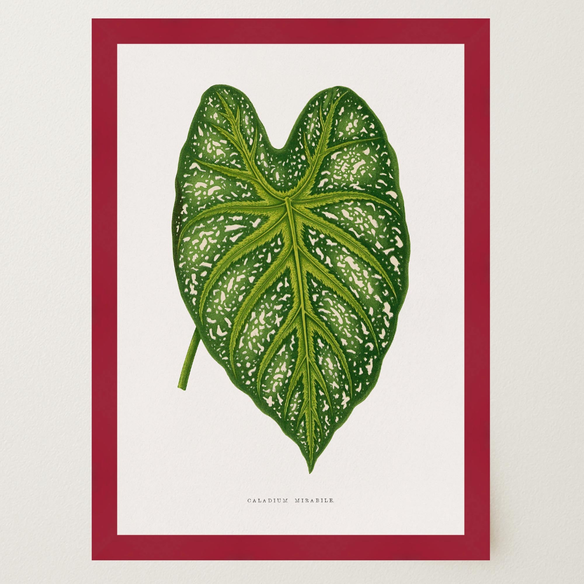 Green Leaf Botanical Vintage Wall Art Print-Skudaboo