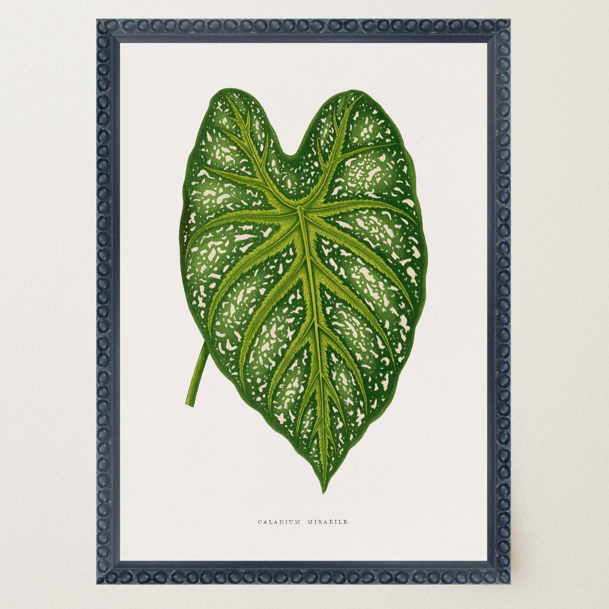 Green Leaf Botanical Vintage Wall Art Print-Skudaboo