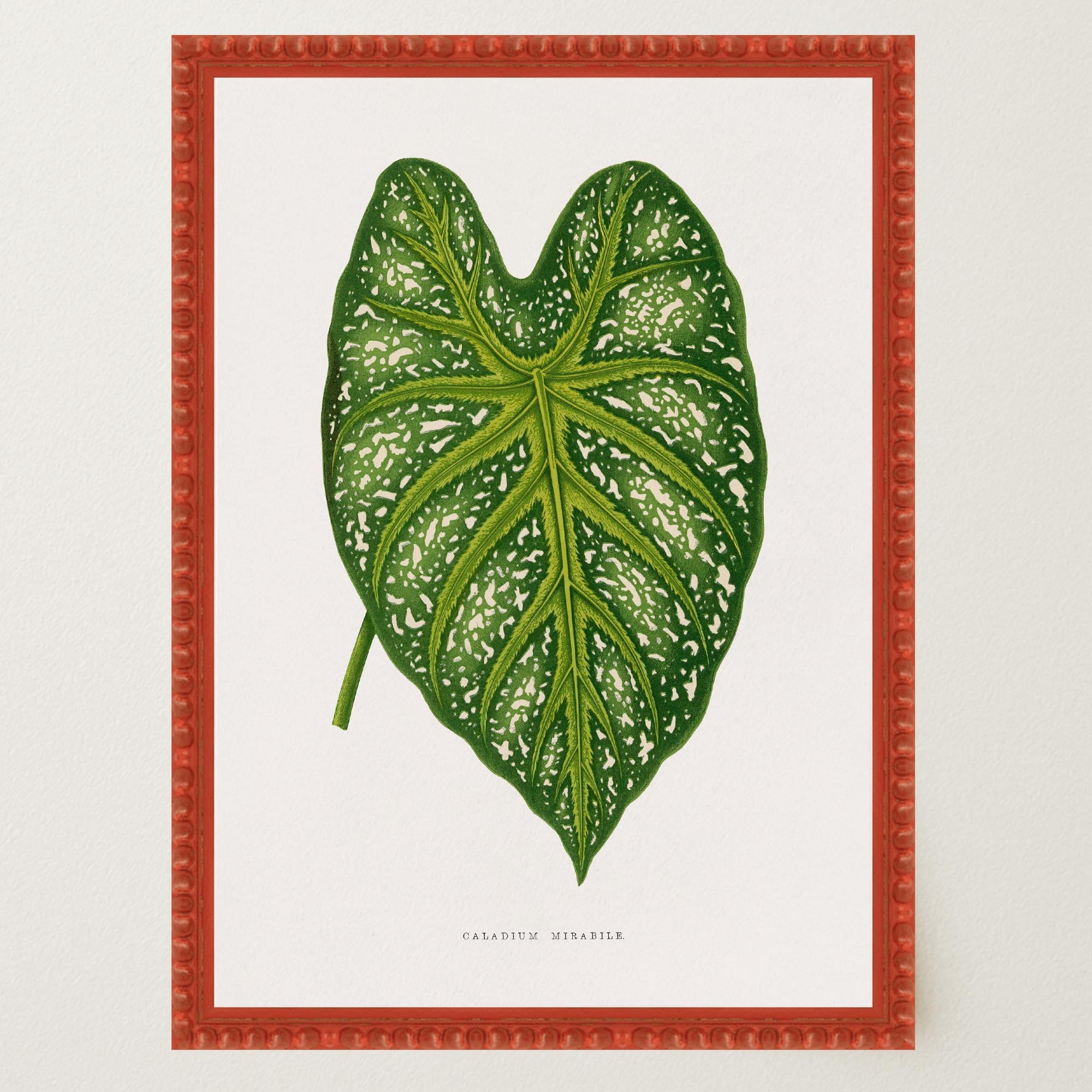 Green Leaf Botanical Vintage Wall Art Print-Skudaboo