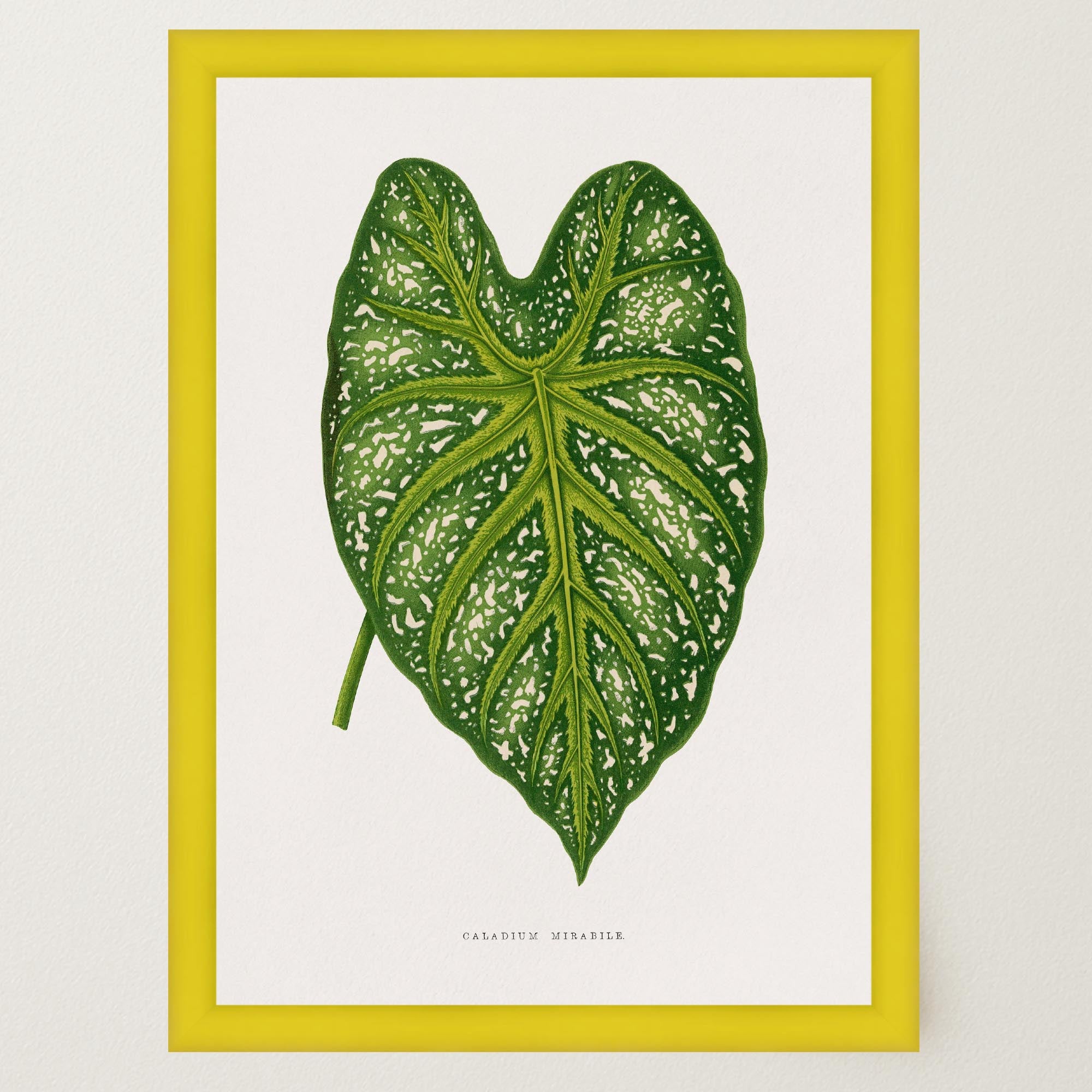 Green Leaf Botanical Vintage Wall Art Print-Skudaboo