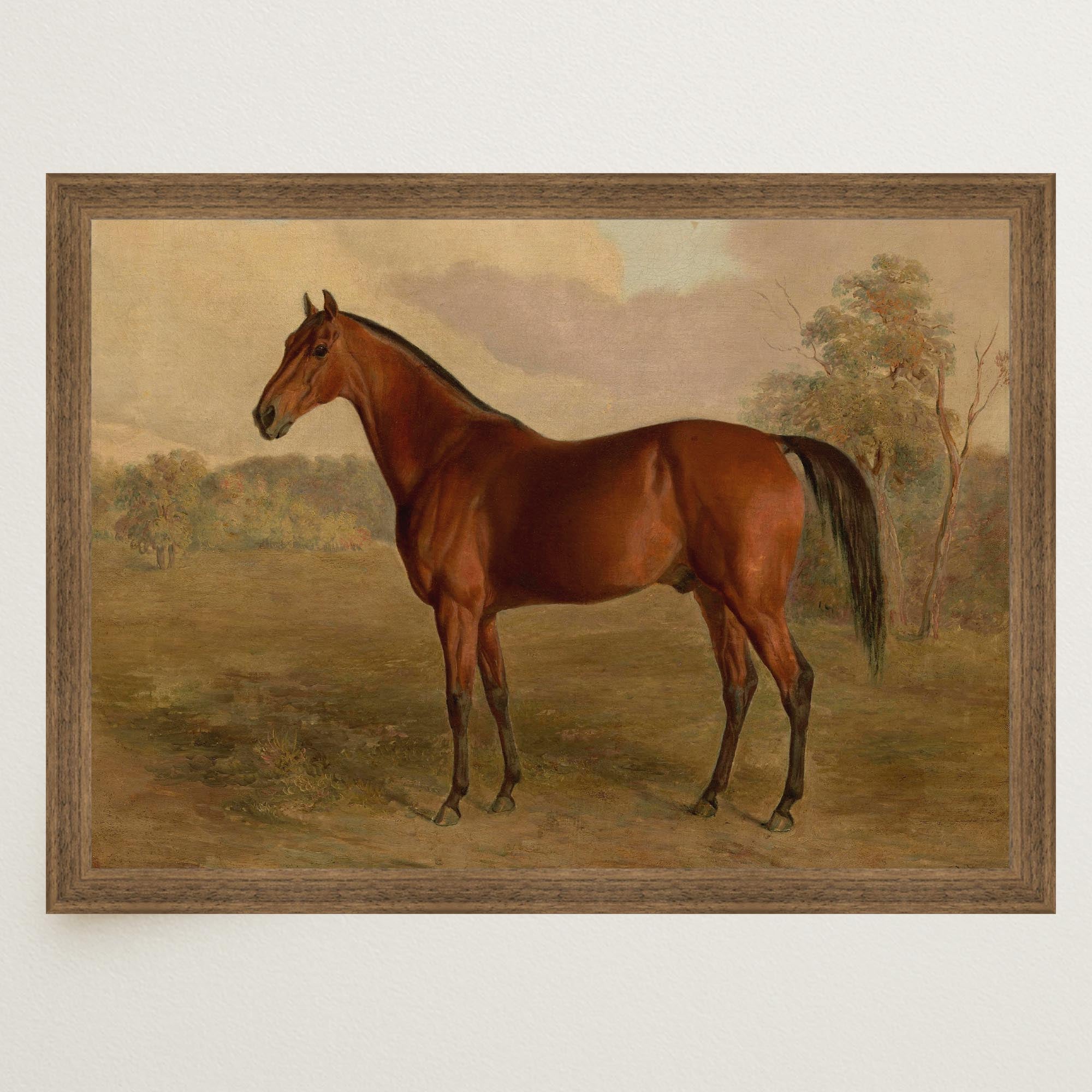 Vintage Horse Portrait Art Print-Skudaboo