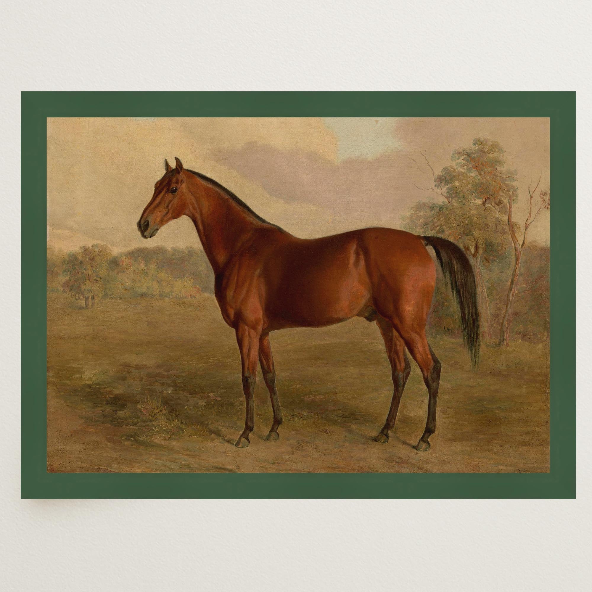 Vintage Horse Portrait Art Print-Skudaboo