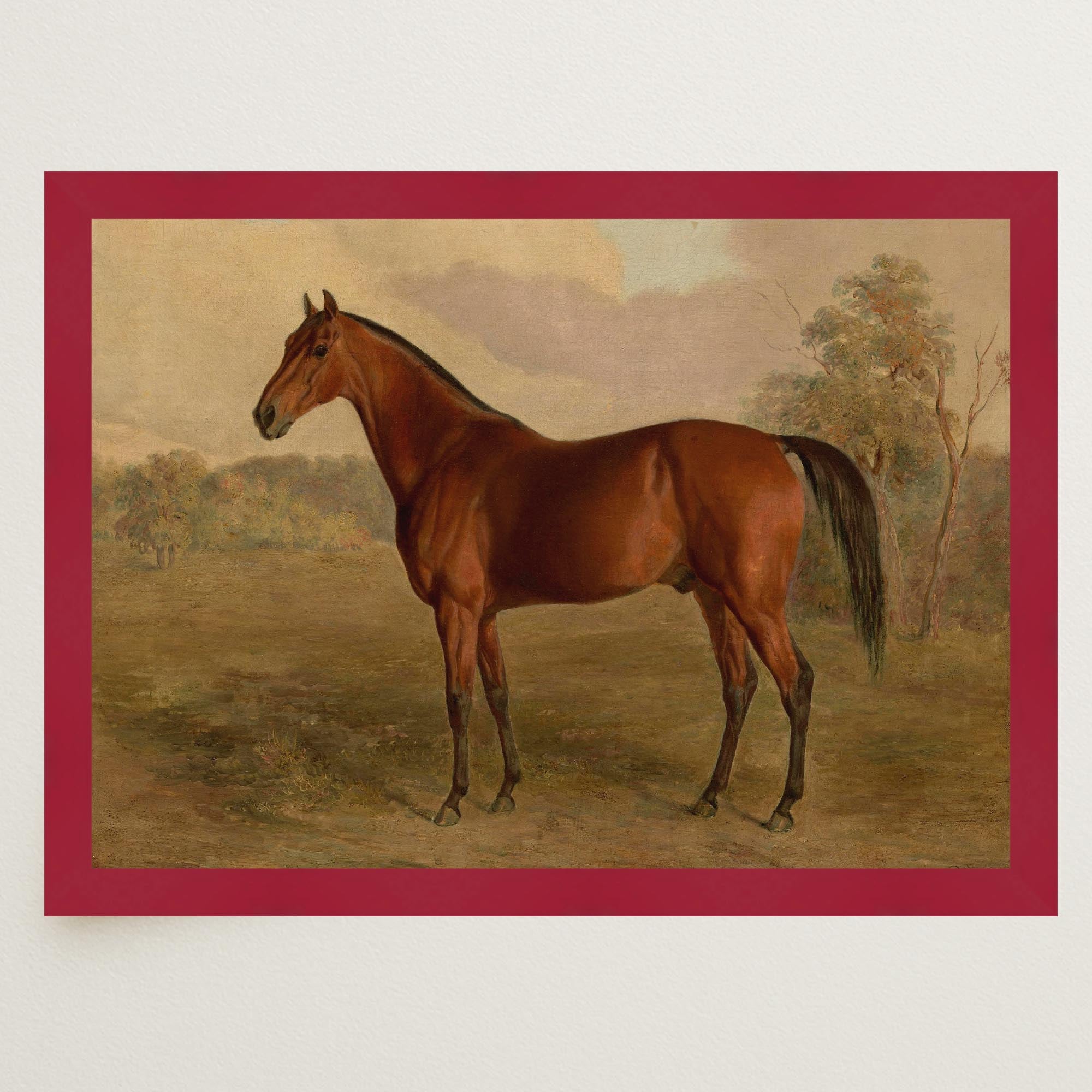 Vintage Horse Portrait Art Print-Skudaboo