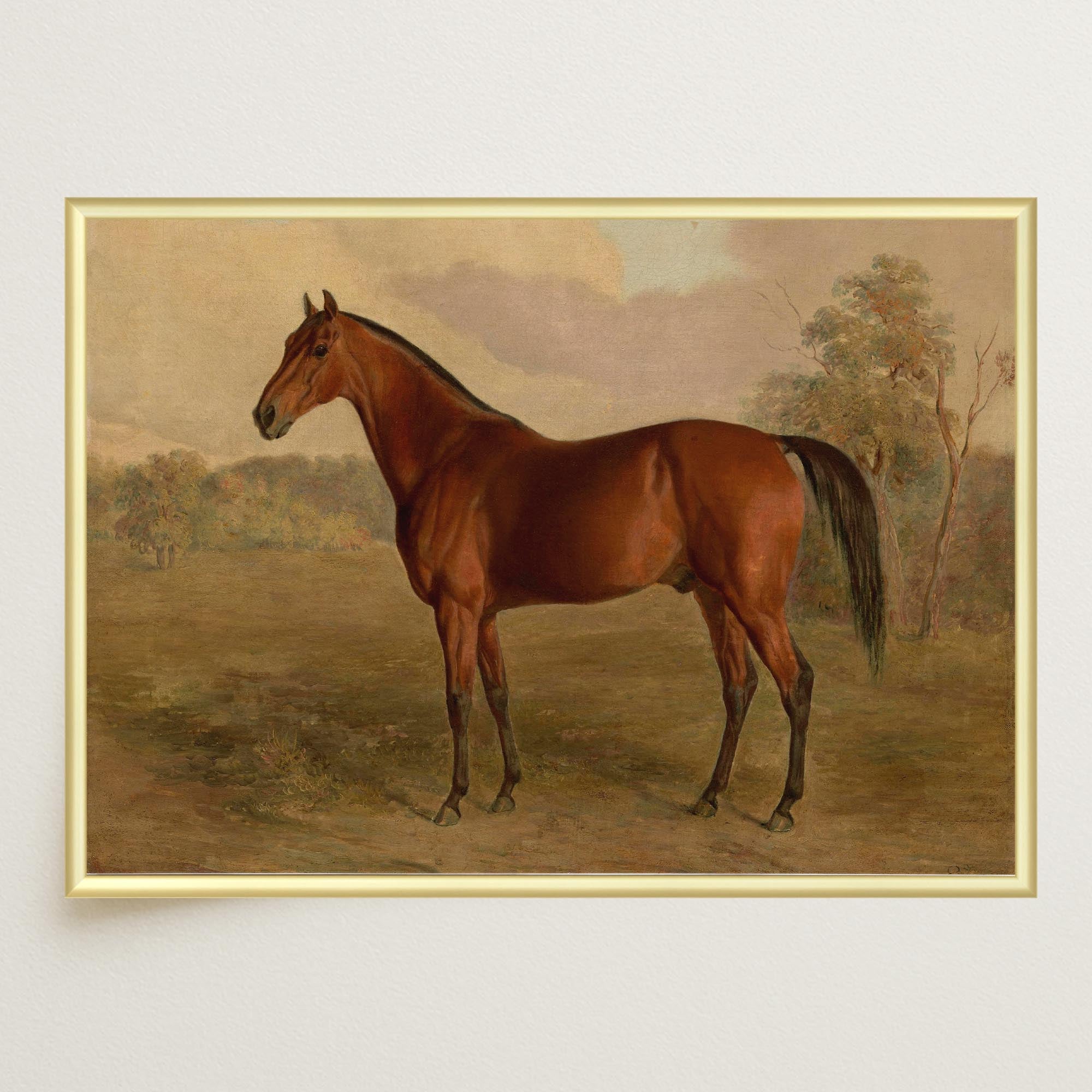 Vintage Horse Portrait Art Print-Skudaboo