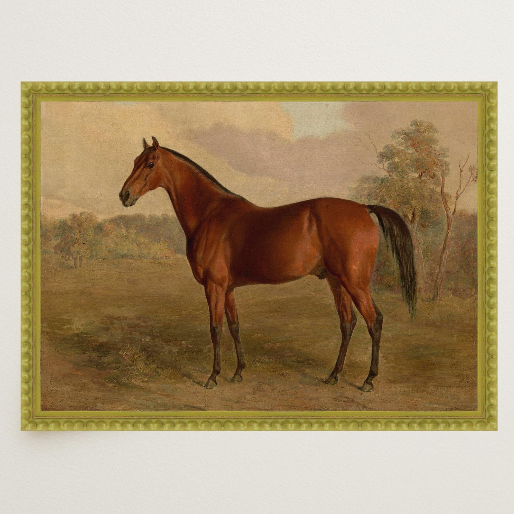 Vintage Horse Portrait Art Print-Skudaboo