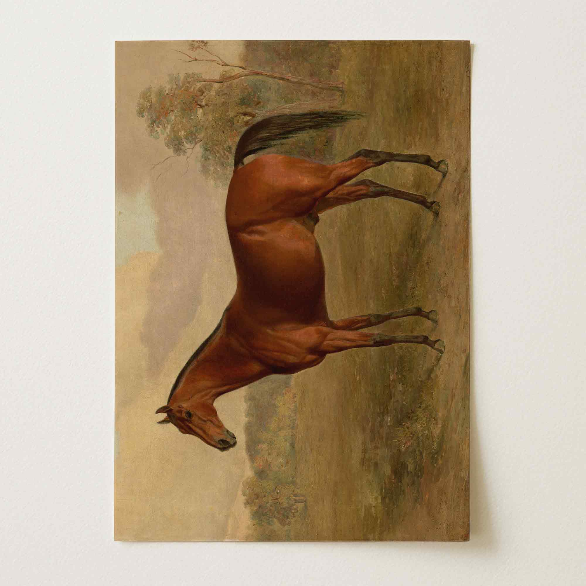 Vintage Horse Portrait Art Print-Skudaboo