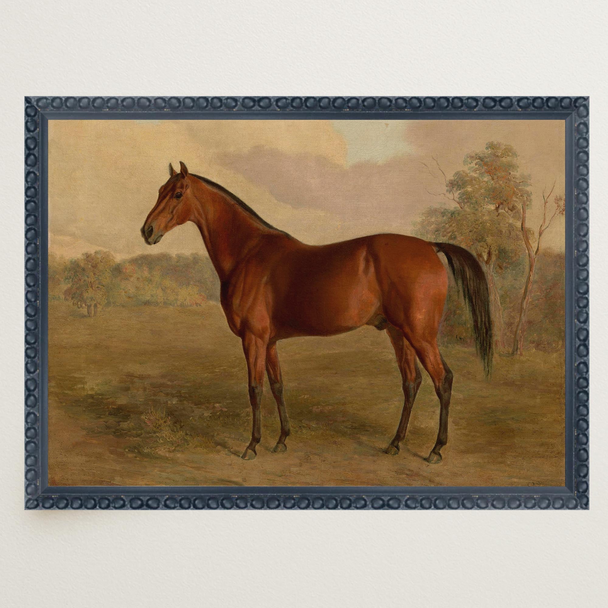 Vintage Horse Portrait Art Print-Skudaboo
