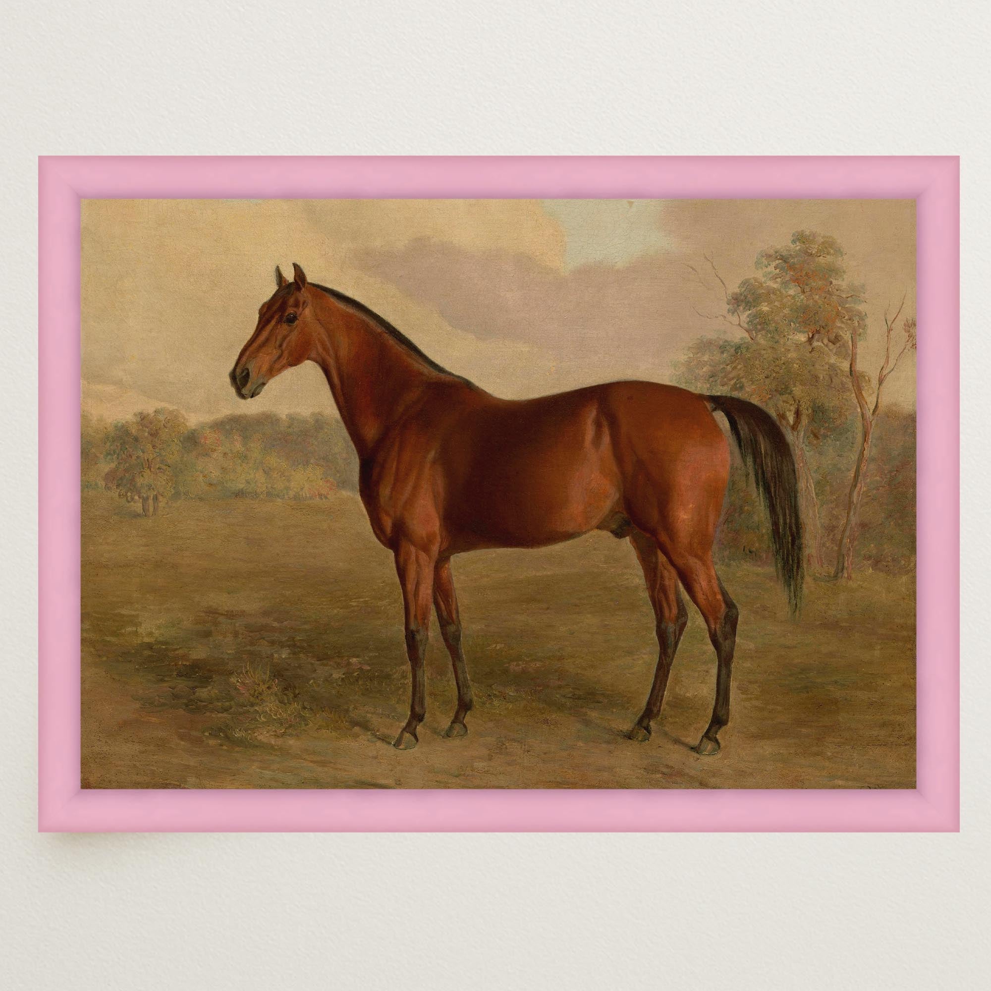 Vintage Horse Portrait Art Print-Skudaboo