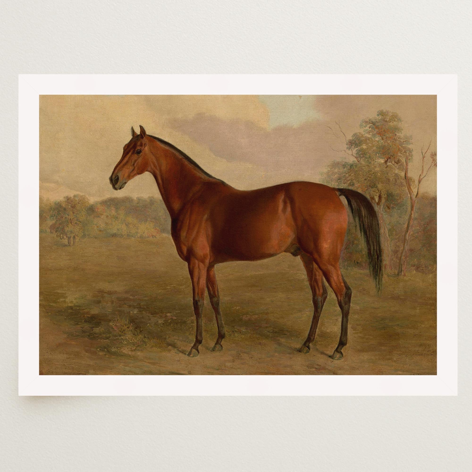 Vintage Horse Portrait Art Print-Skudaboo