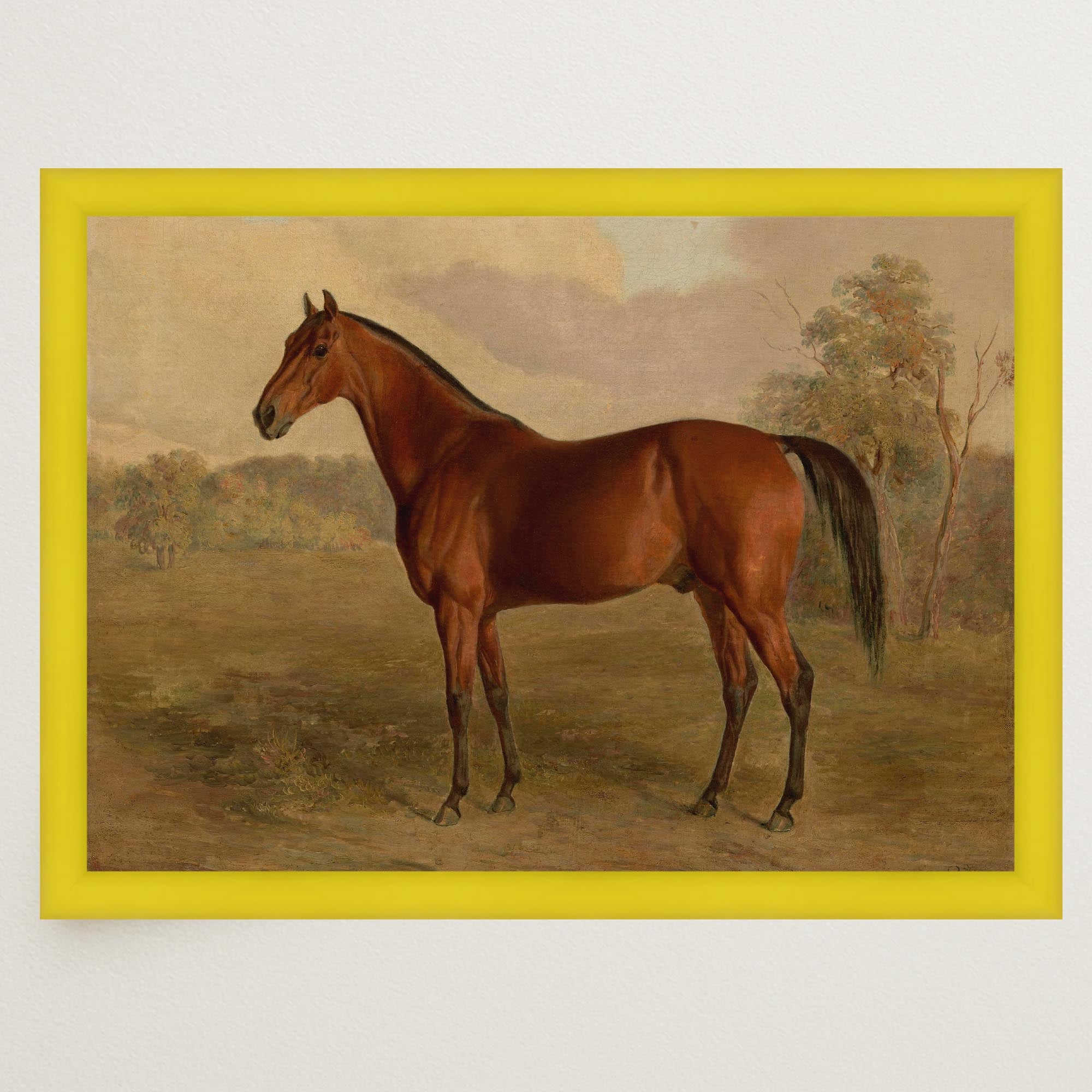 Vintage Horse Portrait Art Print-Skudaboo