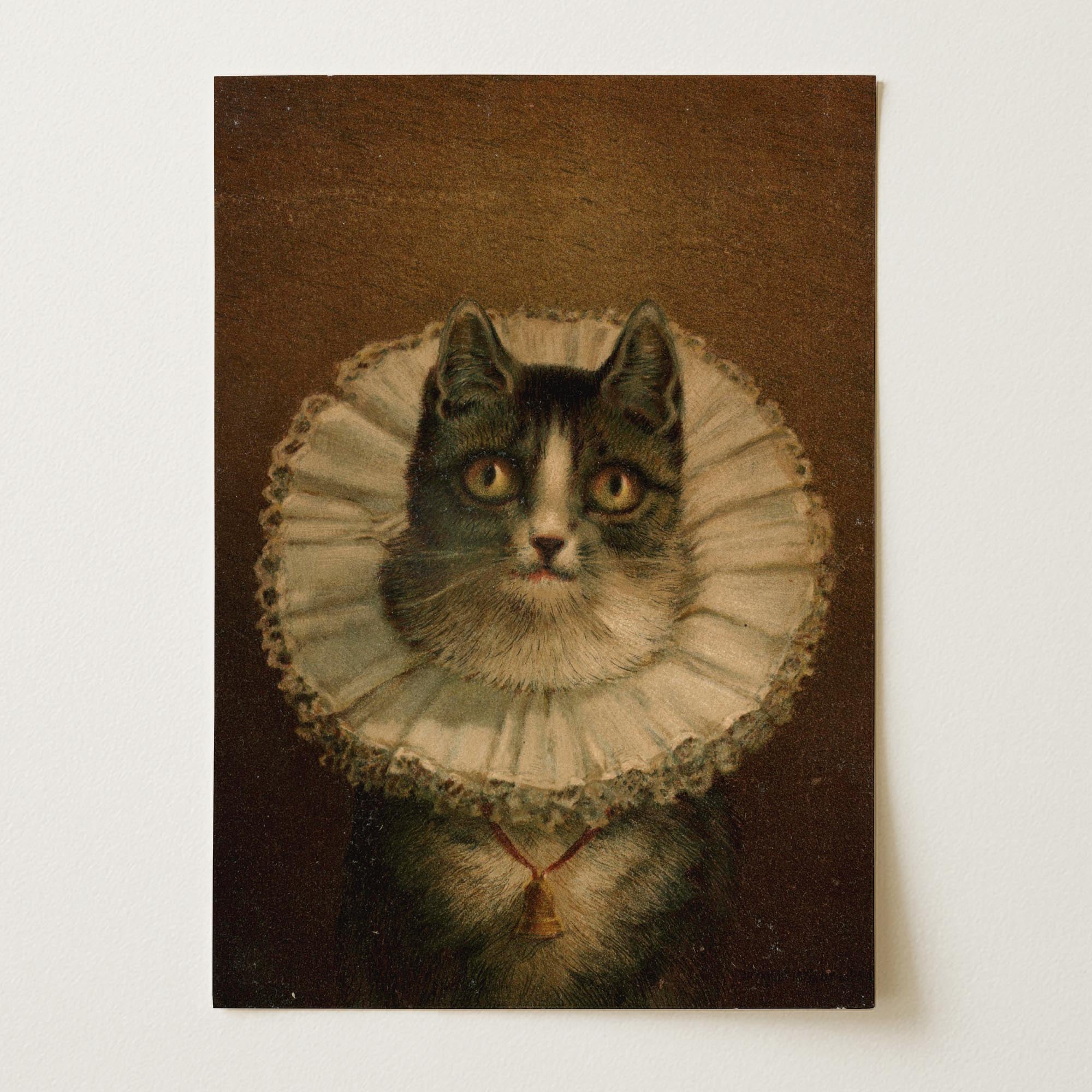 Victorian Cat Portrait Vintage Wall Art Print-Skudaboo