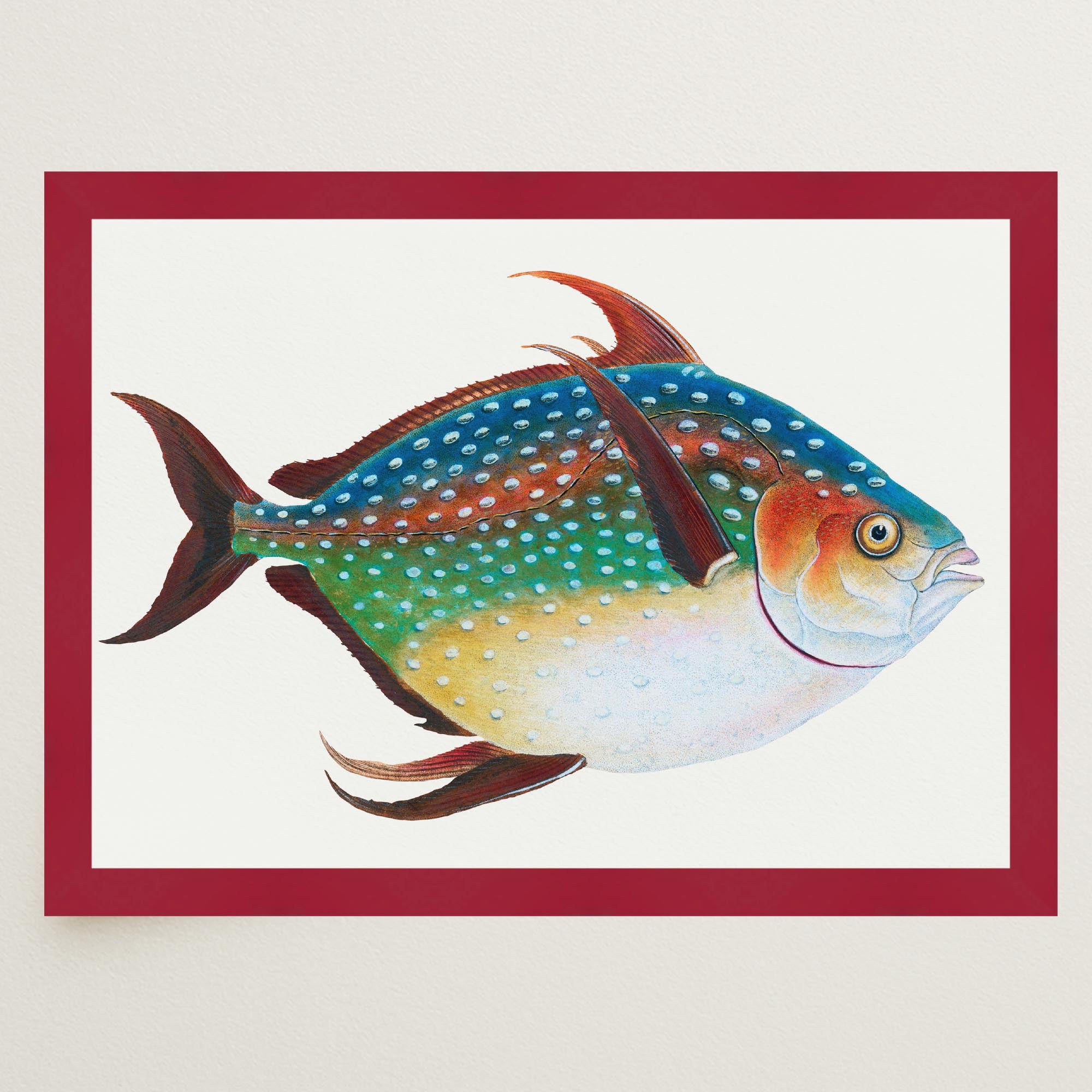 Opah Fish Vintage Wall Art Print-Skudaboo