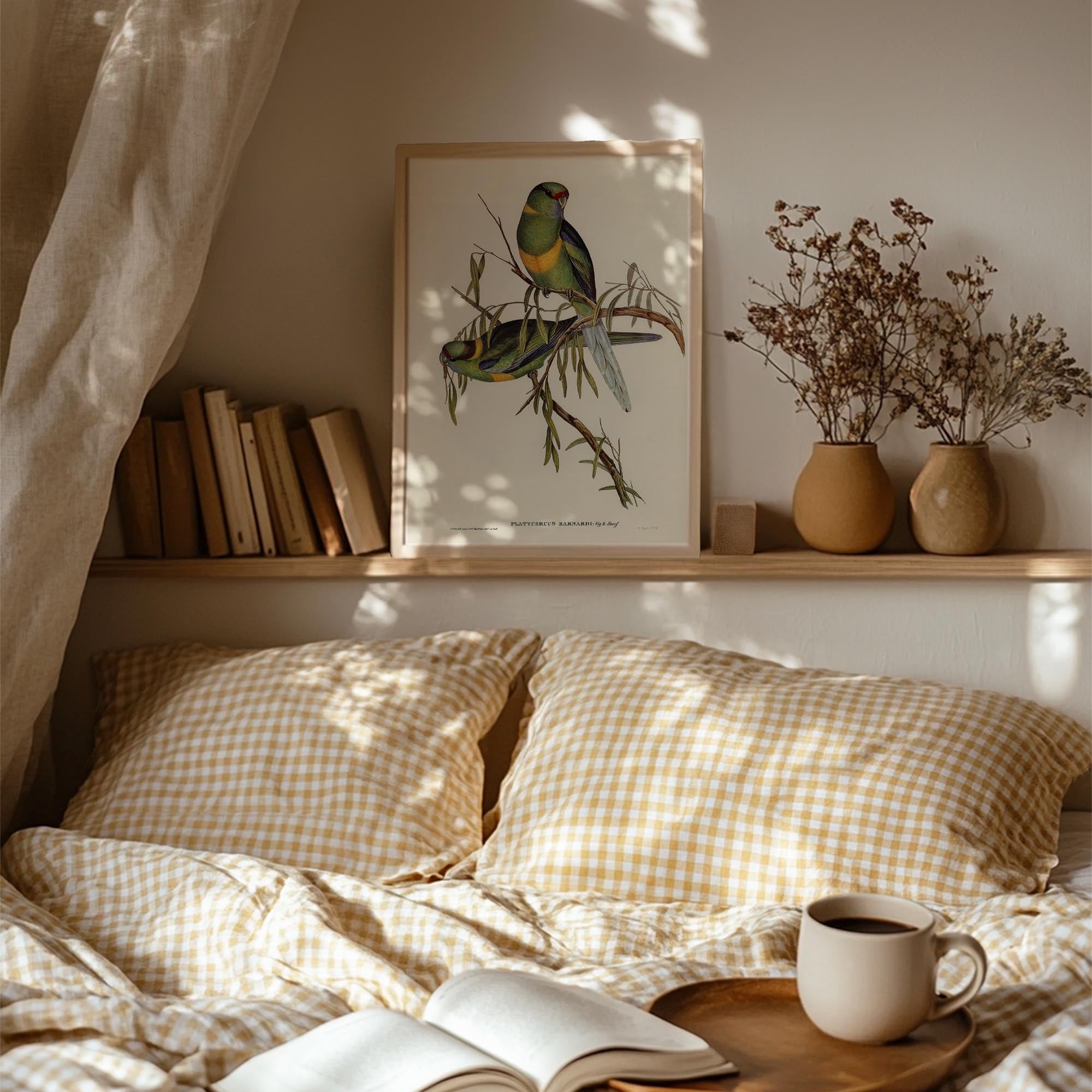 Barnard's Parakeet Vintage Bird Illustration Wall Art Print-Skudaboo