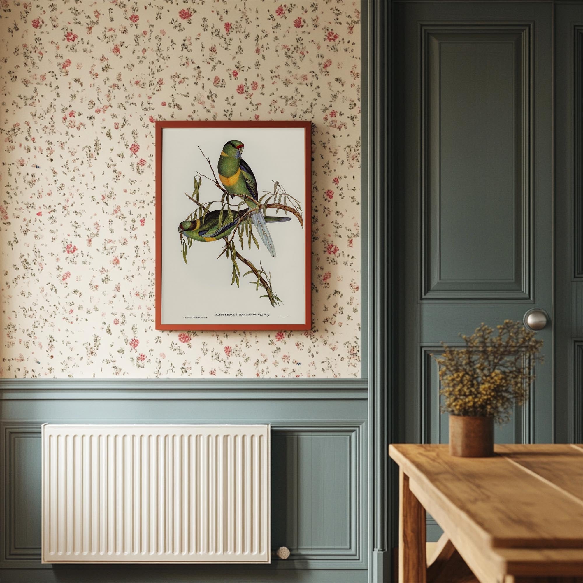 Barnard's Parakeet Vintage Bird Illustration Wall Art Print-Skudaboo