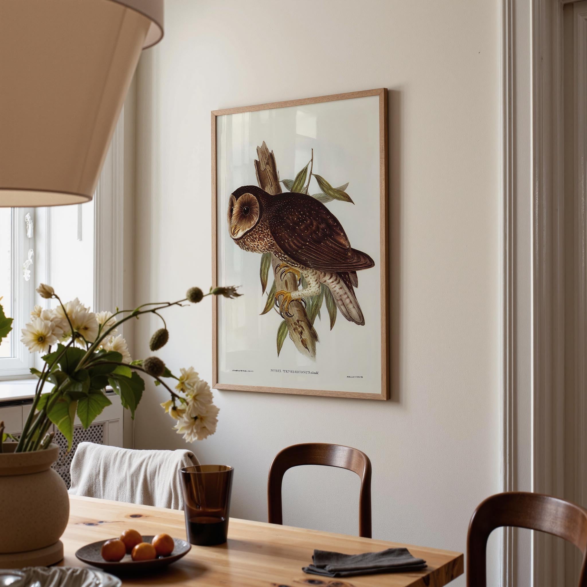 Vintage Owl Illustration Wall Art Print-Skudaboo