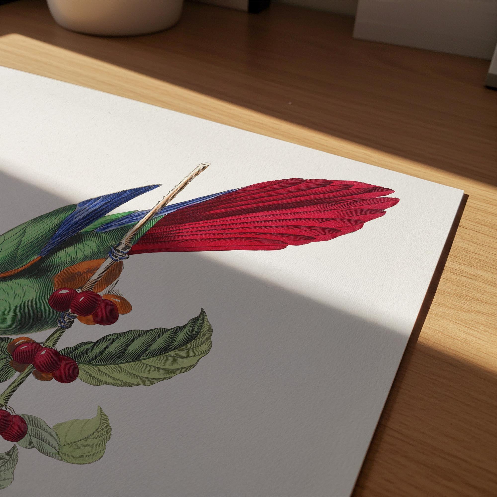 Parakeet Bird Vintage Wall Art Print-Skudaboo