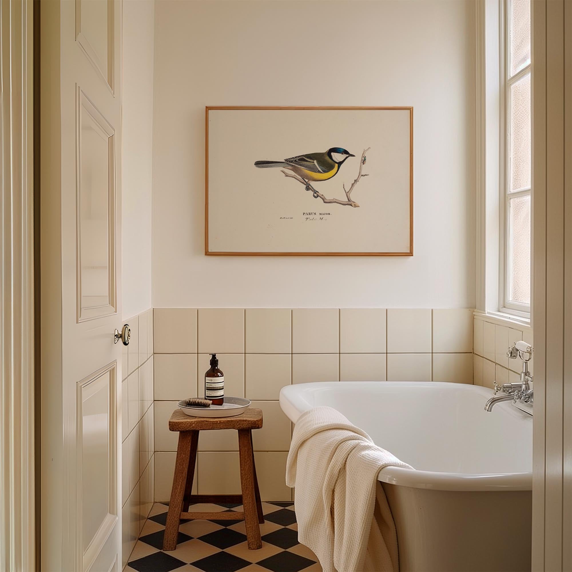 Great Tit Vintage Bird Illustration Wall Art Print-Skudaboo