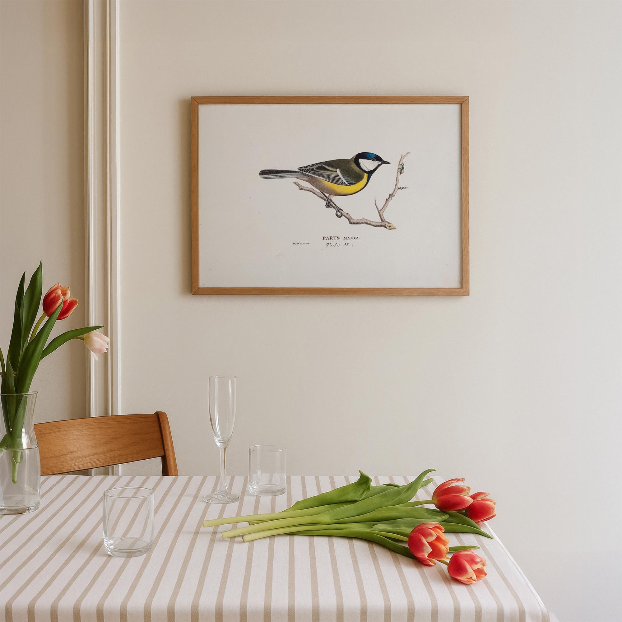 Great Tit Vintage Bird Illustration Wall Art Print-Skudaboo