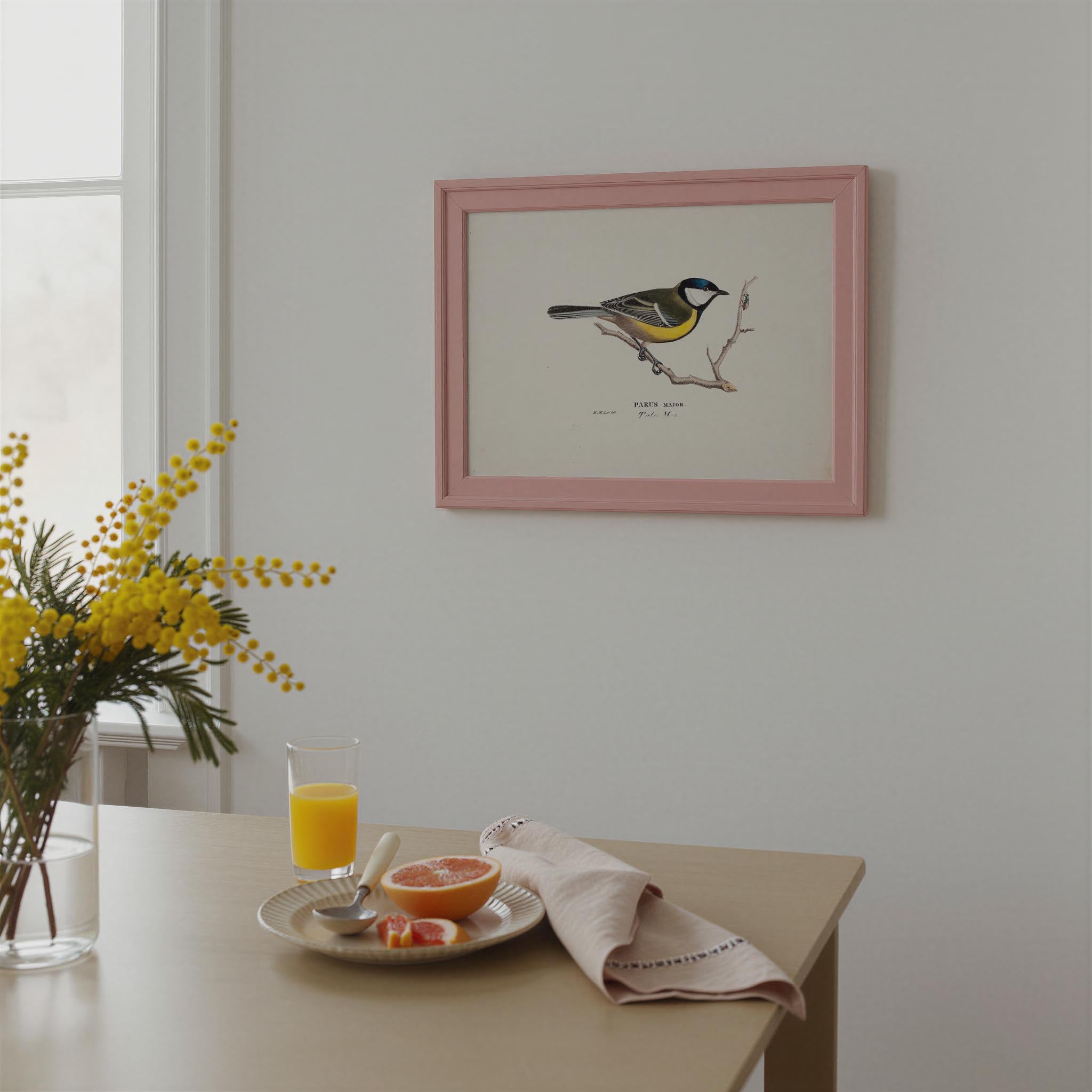 Great Tit Vintage Bird Illustration Wall Art Print-Skudaboo