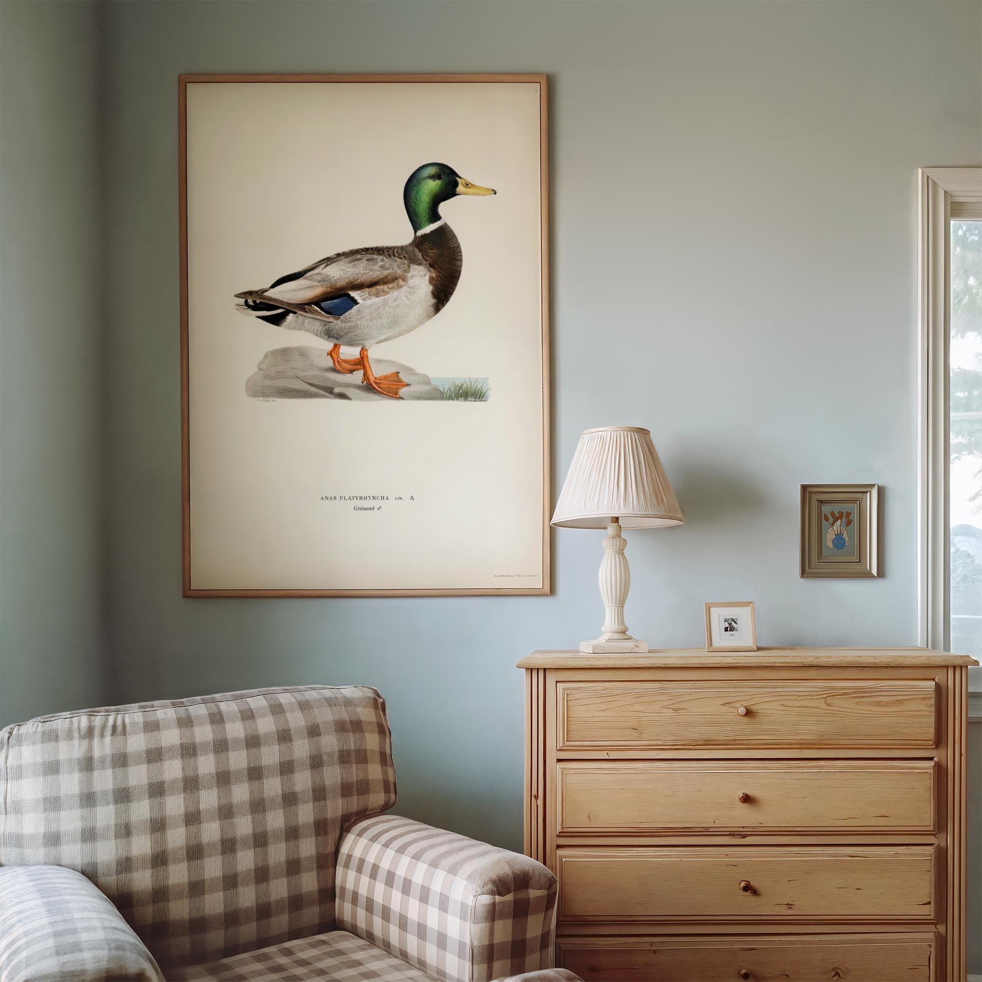 Vintage Duck Wildlife Art Print-Skudaboo