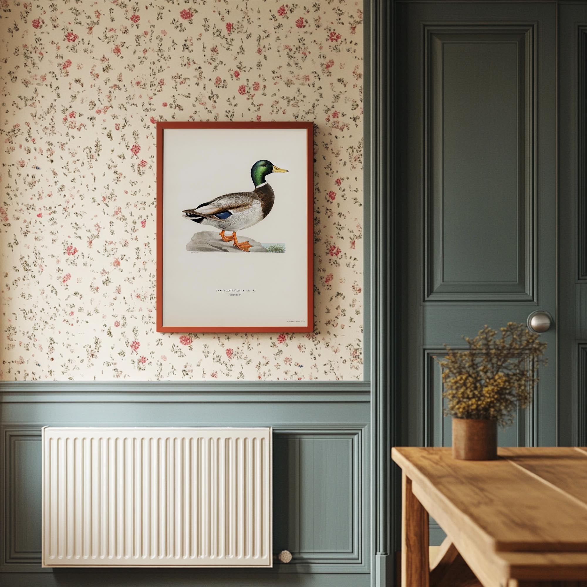 Vintage Duck Wildlife Art Print-Skudaboo