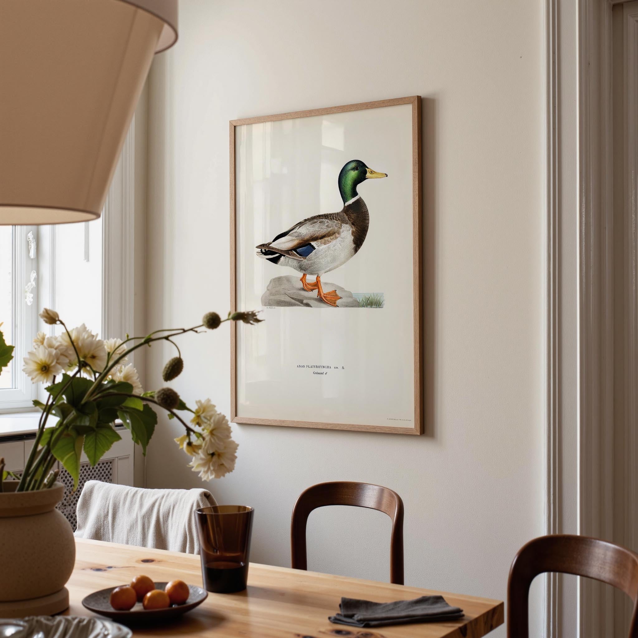 Vintage Duck Wildlife Art Print-Skudaboo