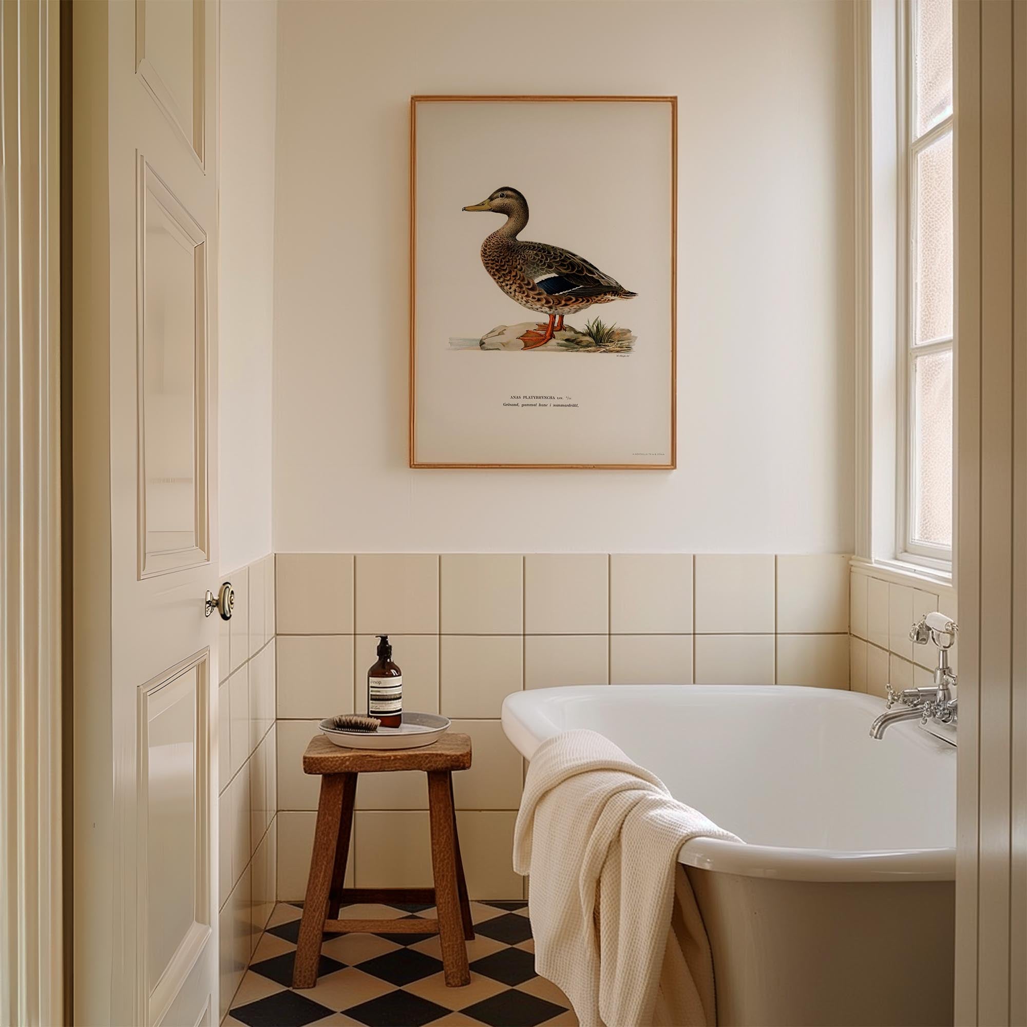 Mallard Duck Vintage Wildlife Wall Art Print-Skudaboo