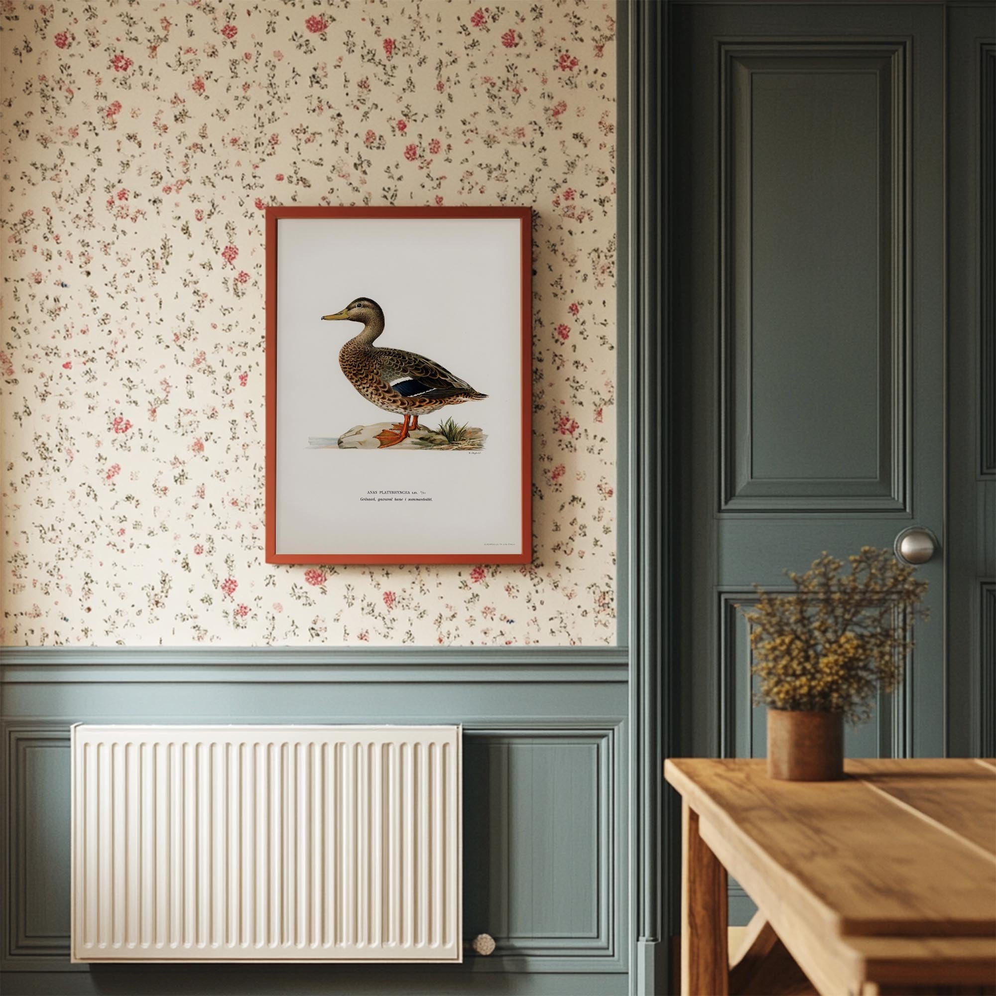 Mallard Duck Vintage Wildlife Wall Art Print-Skudaboo