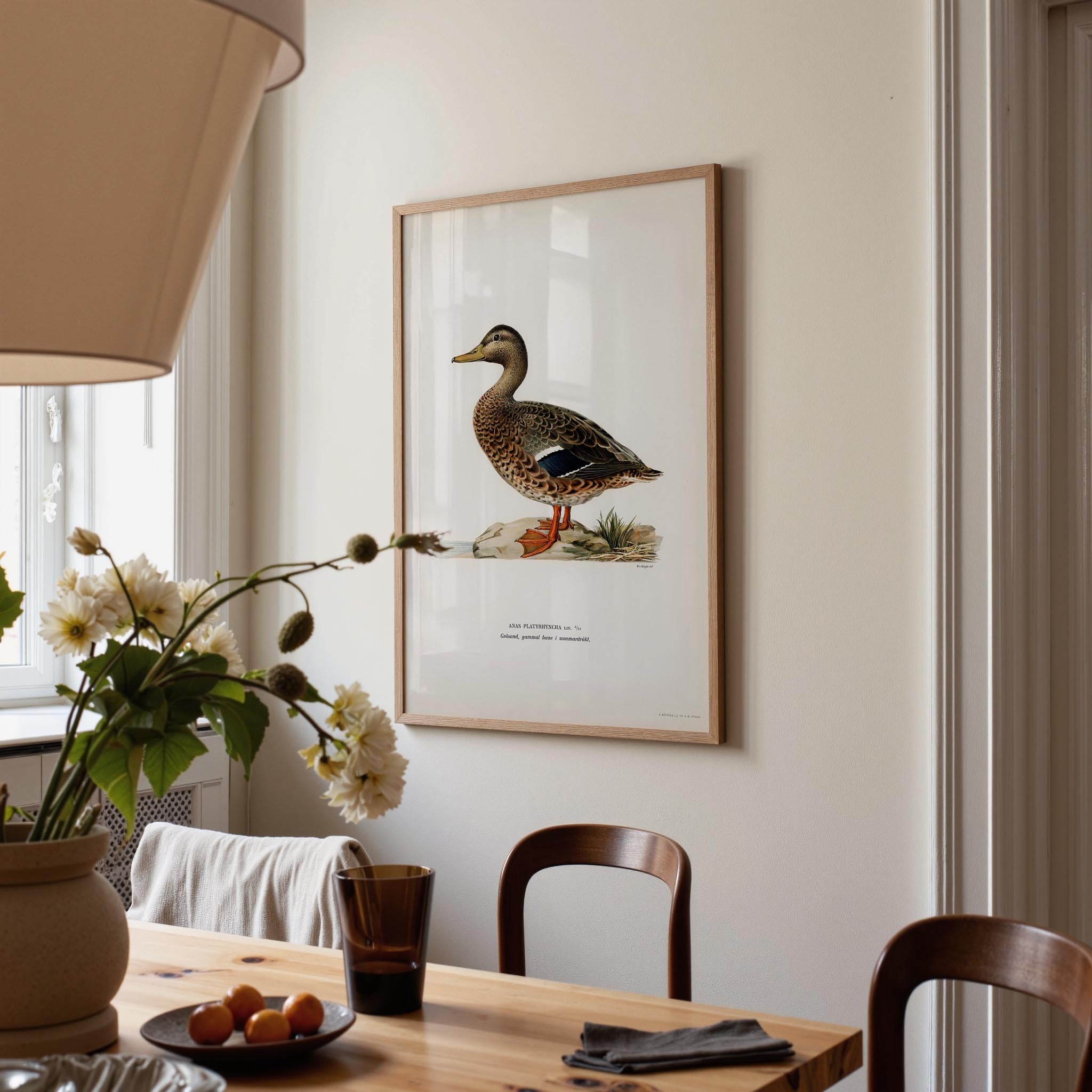 Mallard Duck Vintage Wildlife Wall Art Print-Skudaboo