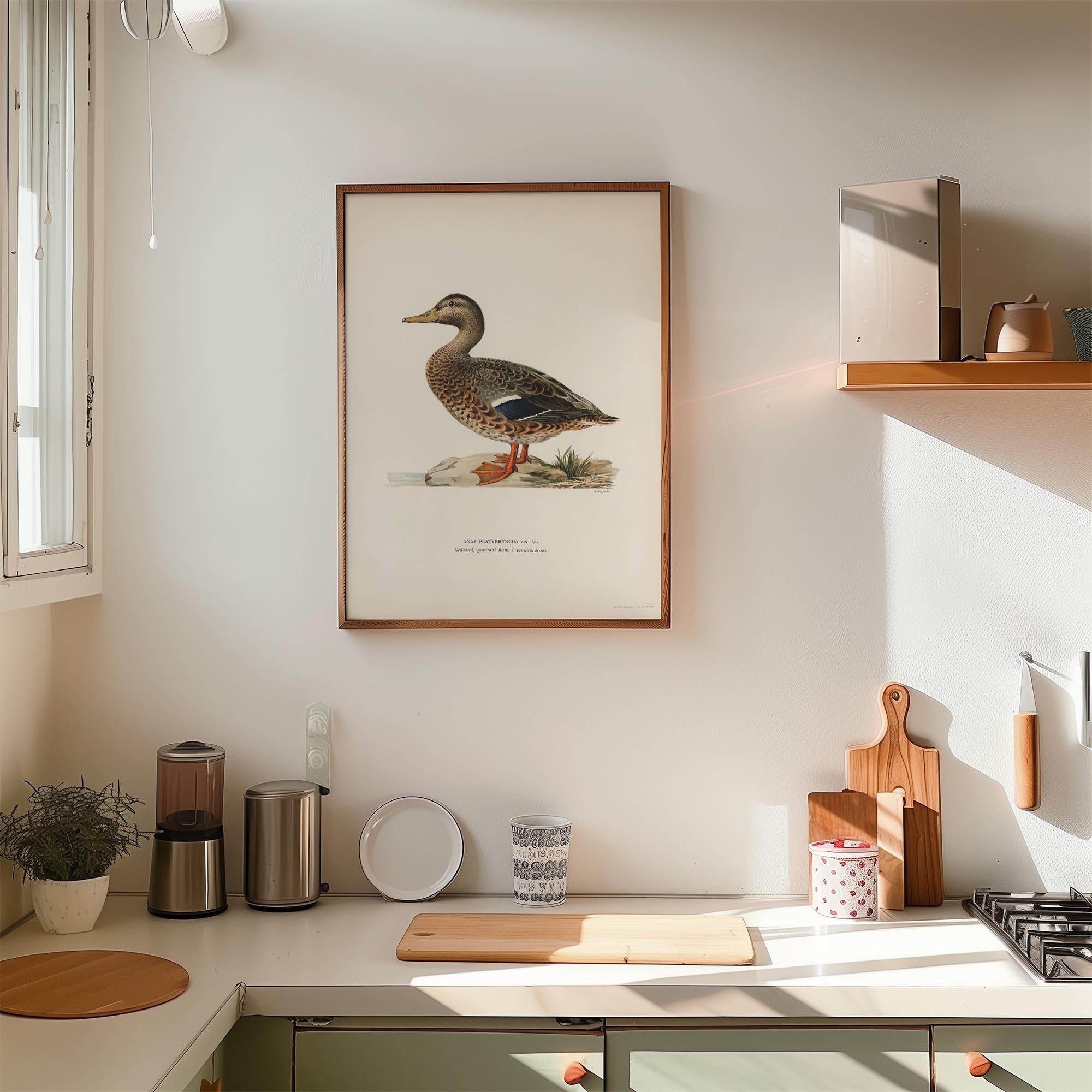 Mallard Duck Vintage Wildlife Wall Art Print-Skudaboo