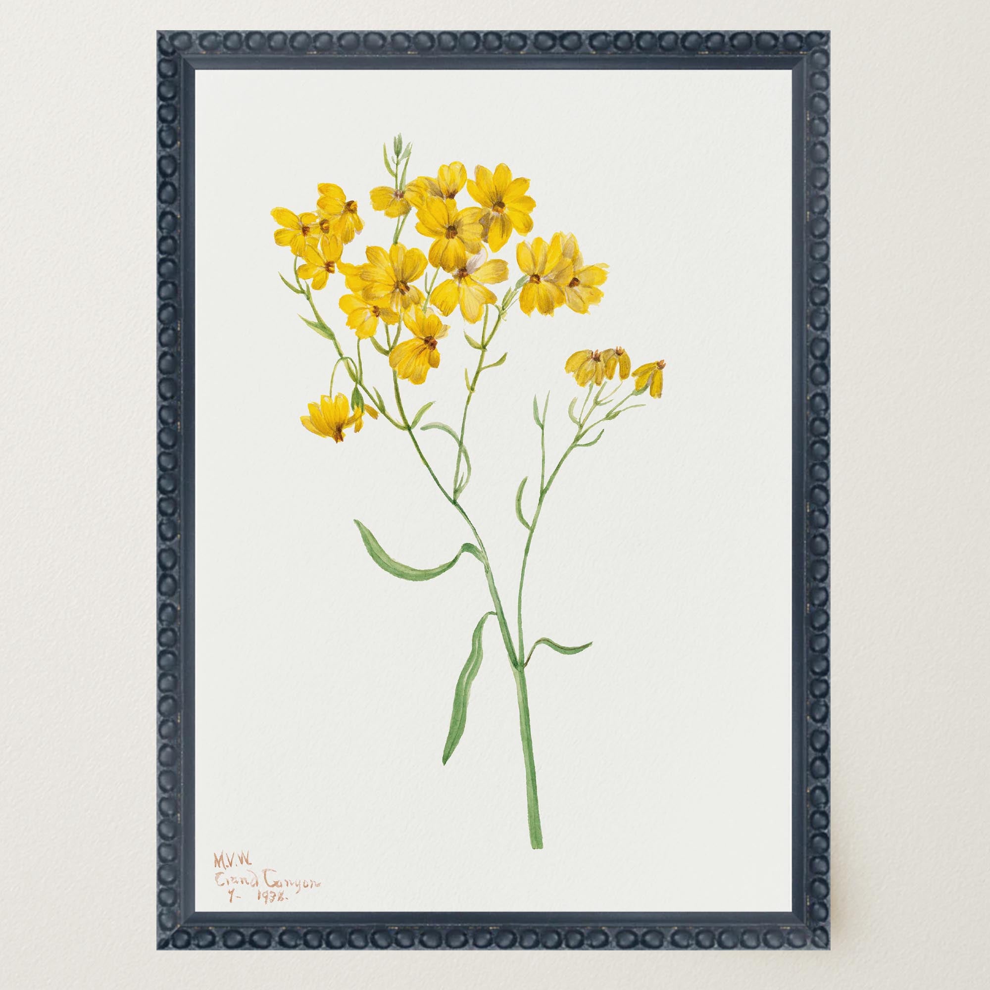 Yellow Wildflower Vintage Botanical Wall Art Print-Skudaboo
