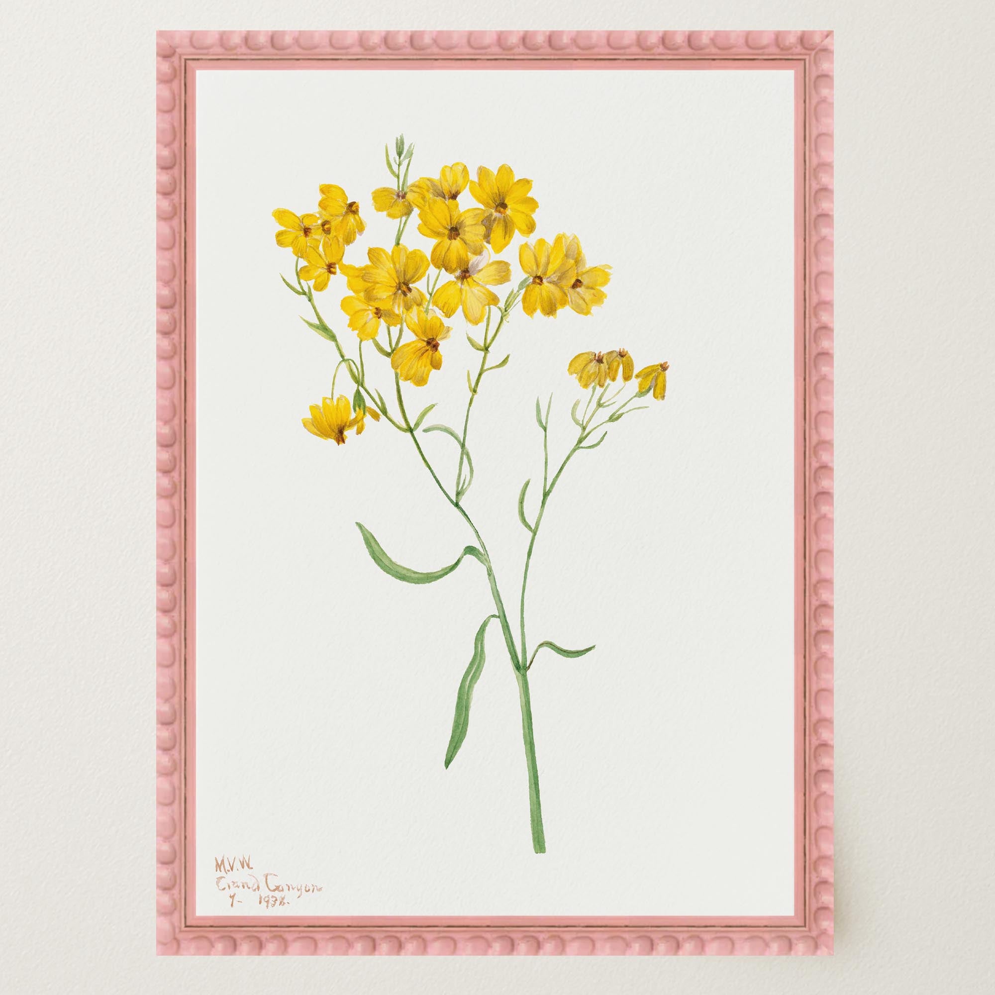 Yellow Wildflower Vintage Botanical Wall Art Print-Skudaboo