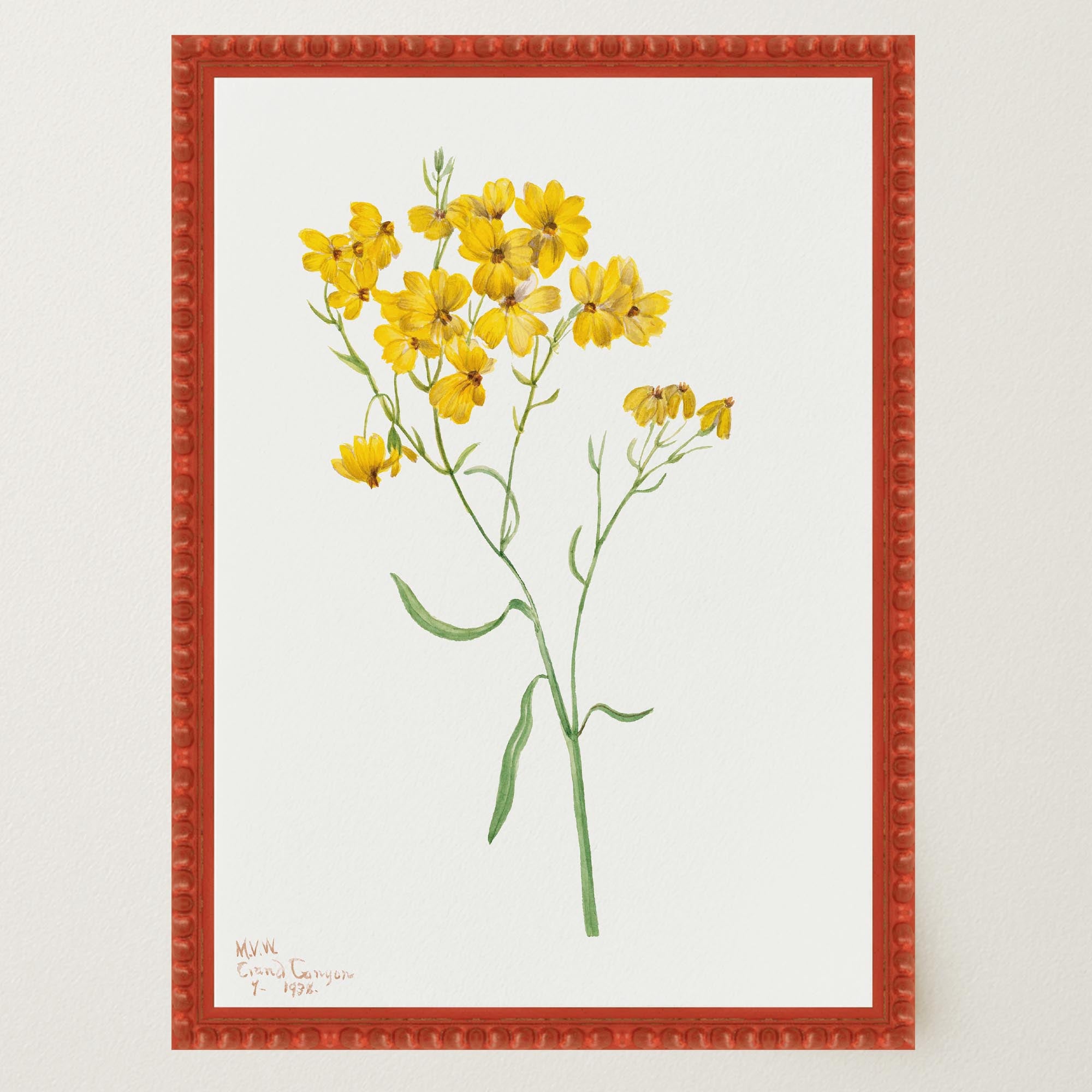 Yellow Wildflower Vintage Botanical Wall Art Print-Skudaboo