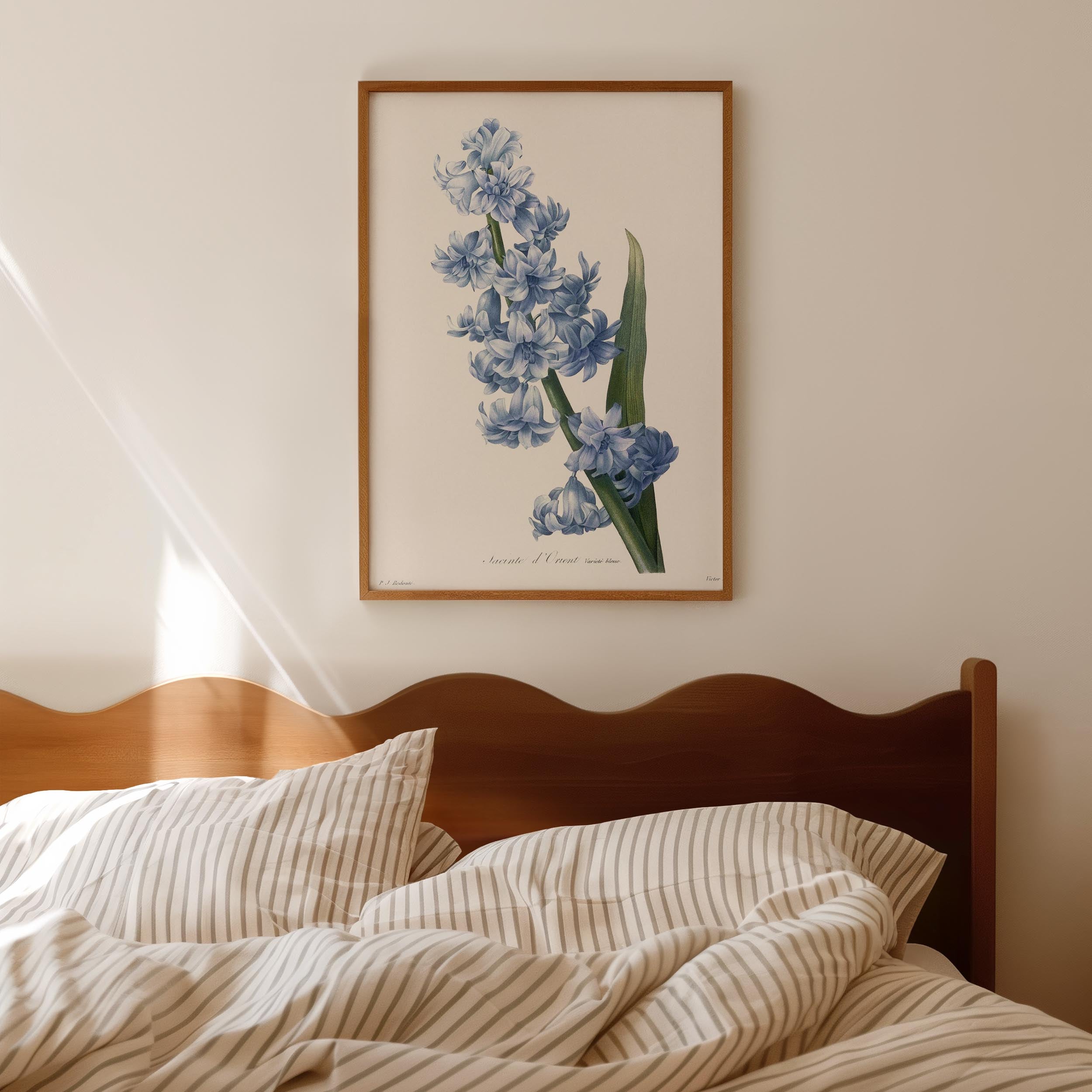 Blue Hyacinth Vintage Botanical Wall Art Print-Skudaboo