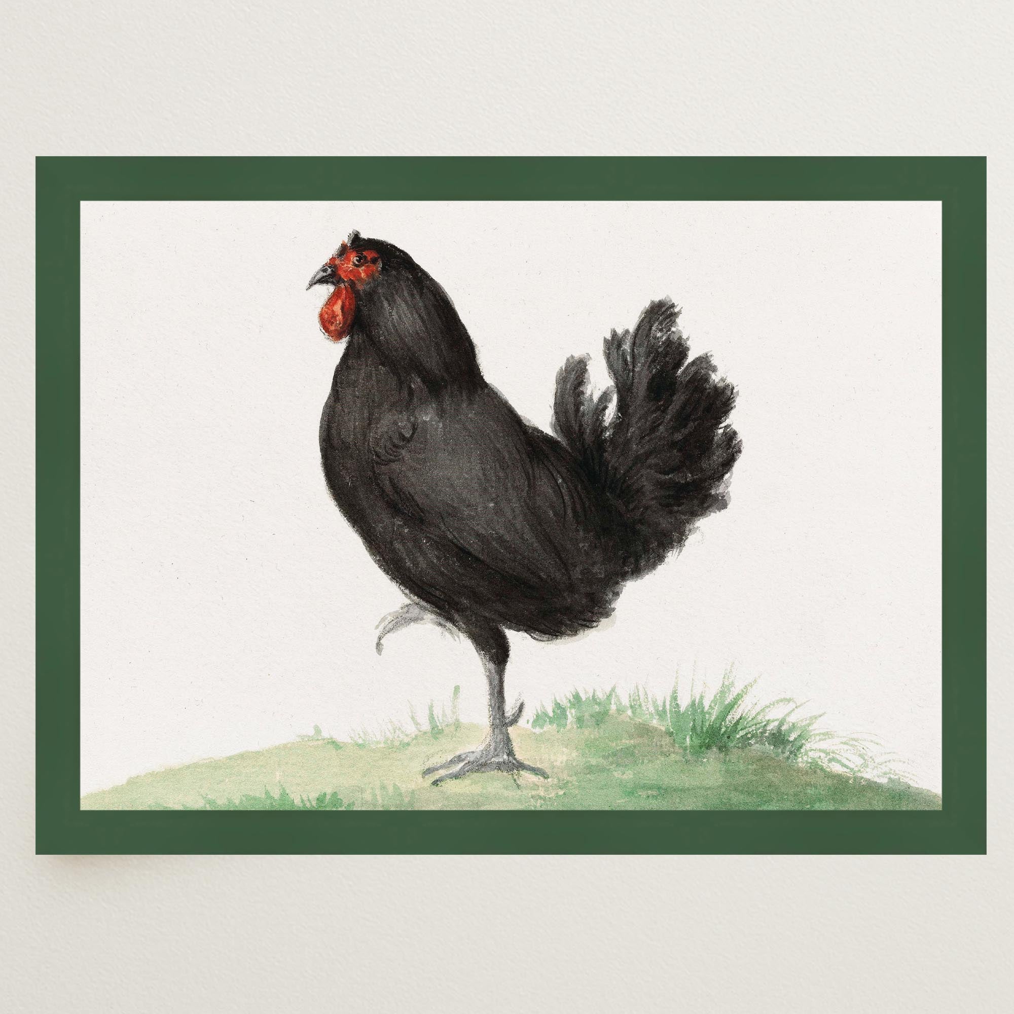 Black Chicken Vintage Bird Illustration Wall Art Print-Skudaboo