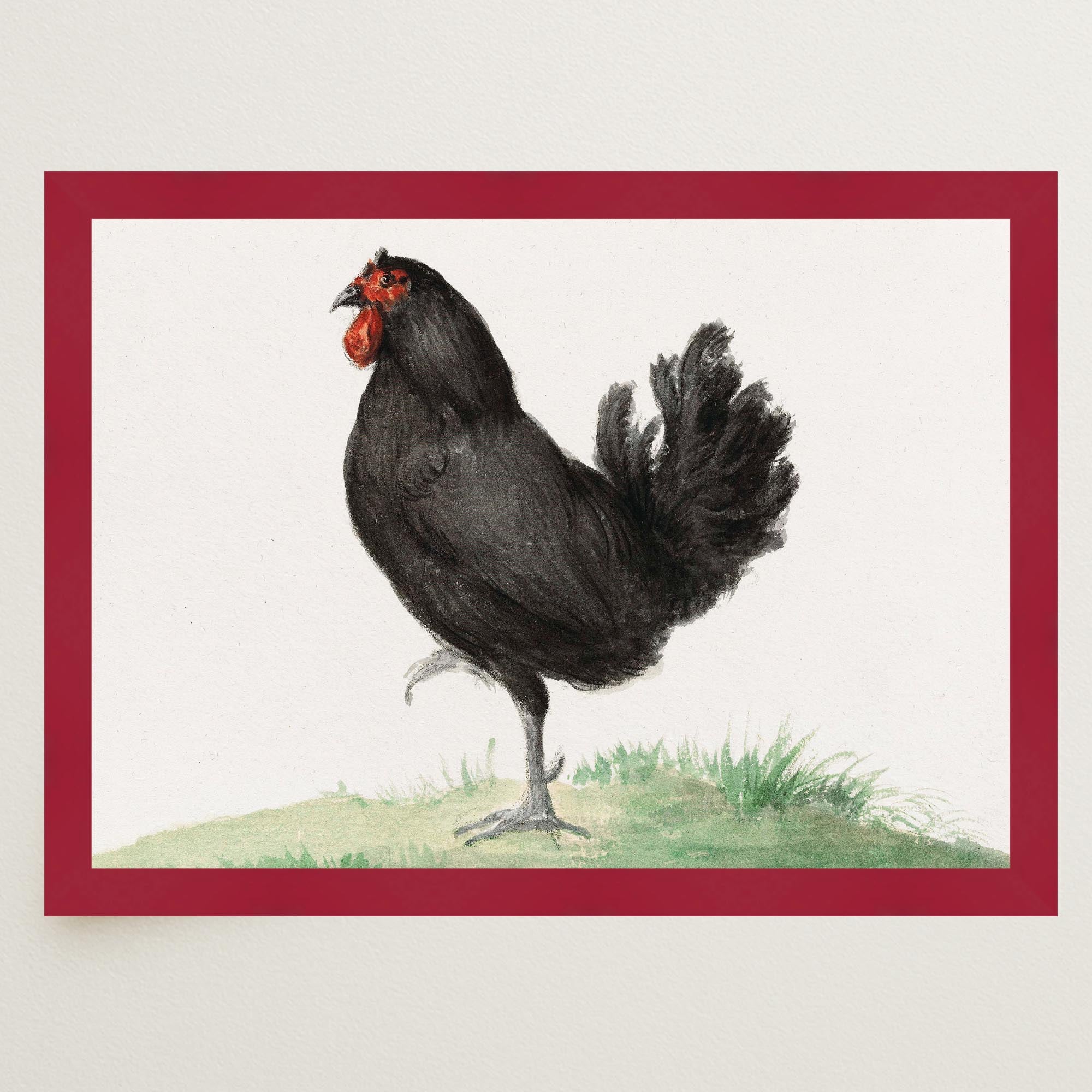 Black Chicken Vintage Bird Illustration Wall Art Print-Skudaboo