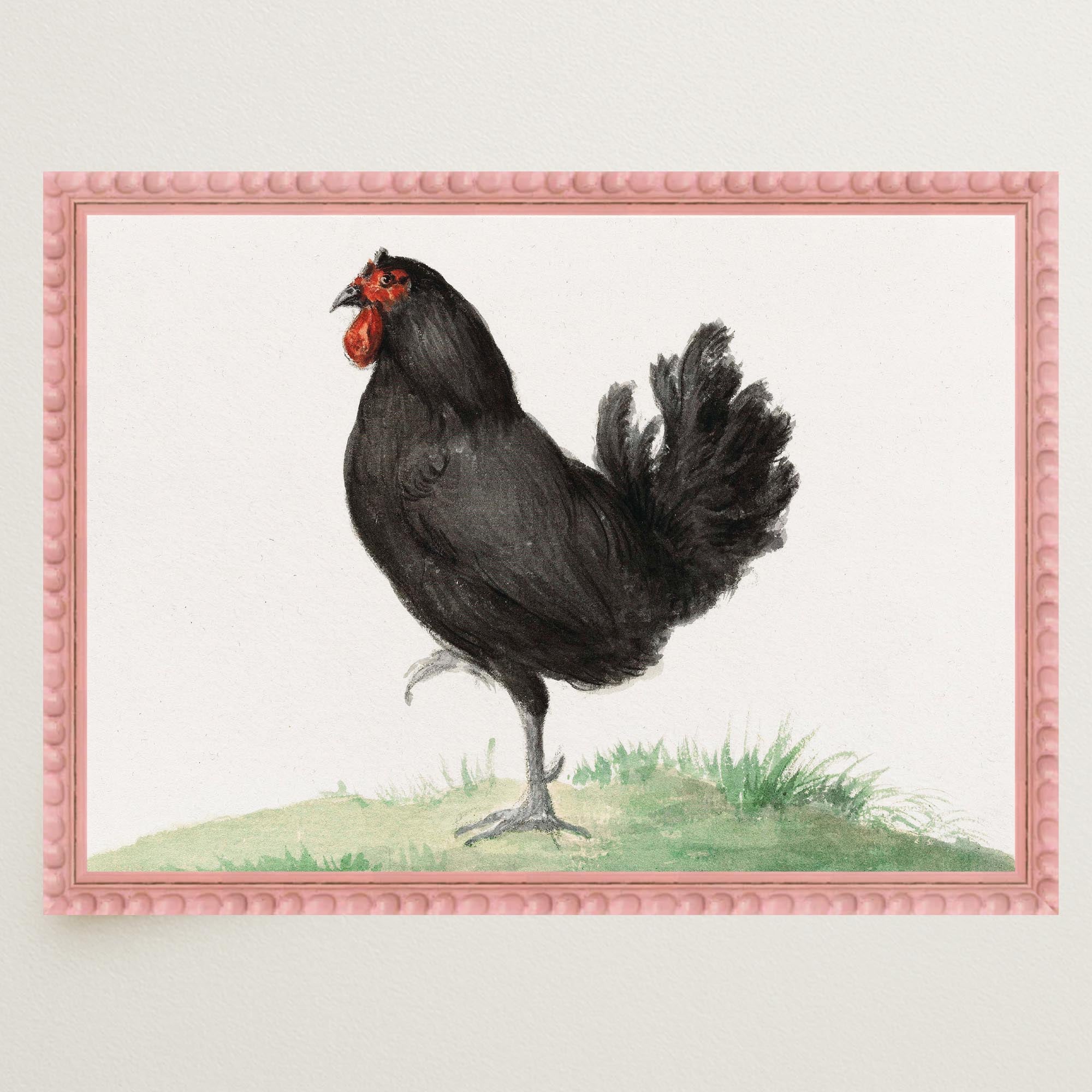 Black Chicken Vintage Bird Illustration Wall Art Print-Skudaboo