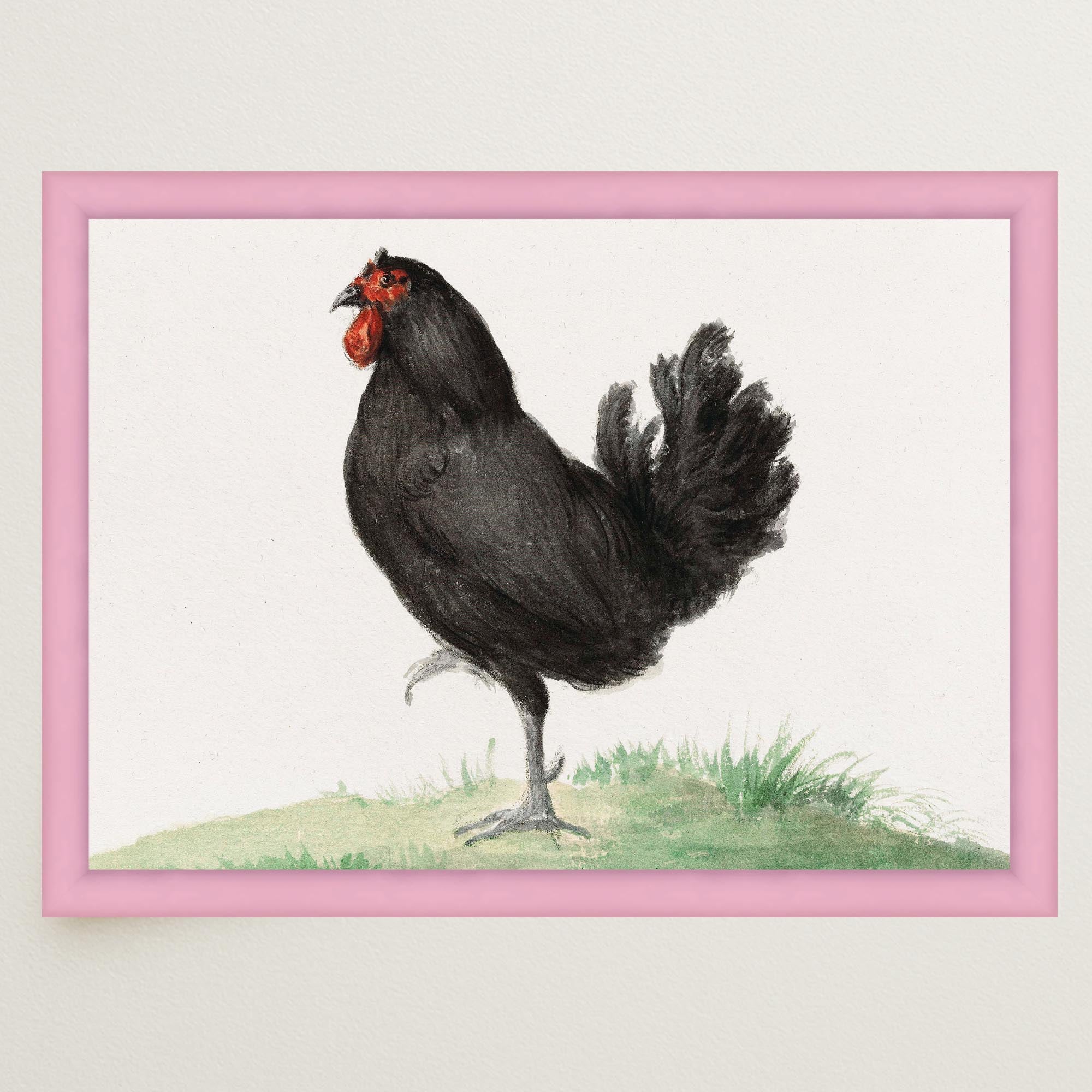 Black Chicken Vintage Bird Illustration Wall Art Print-Skudaboo