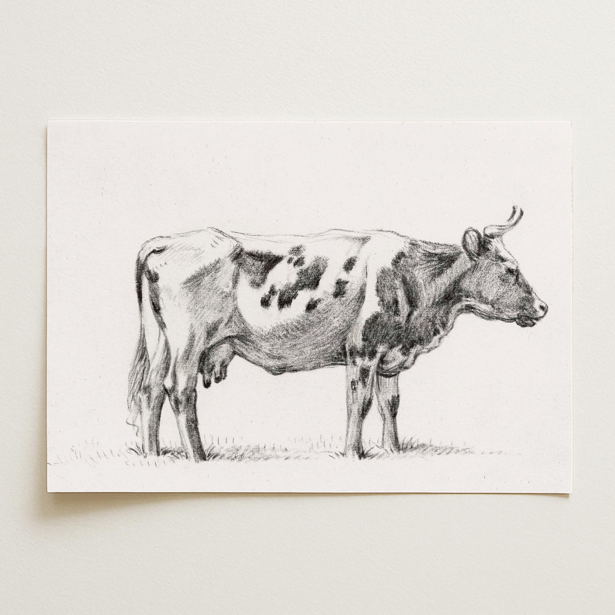 Cow Vintage Sketch Wall Art Print-Skudaboo