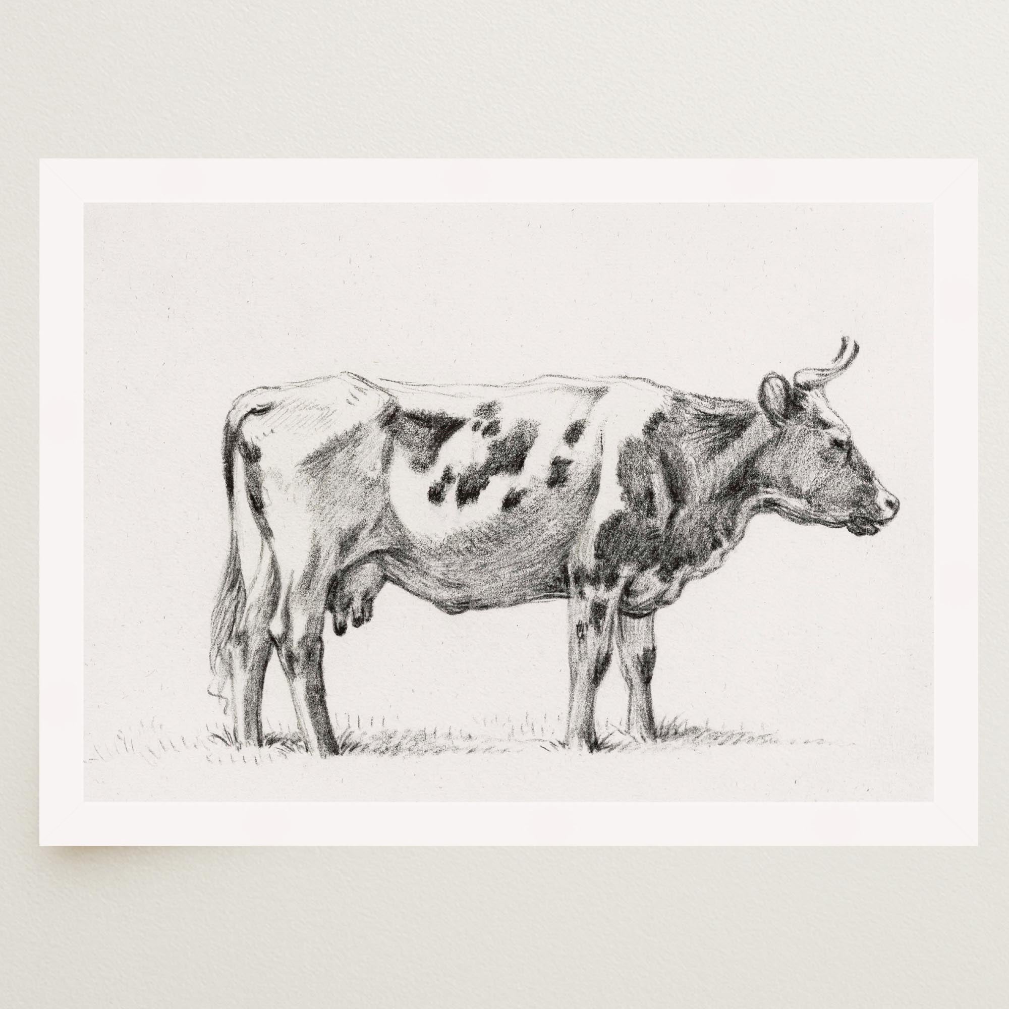 Cow Vintage Sketch Wall Art Print-Skudaboo