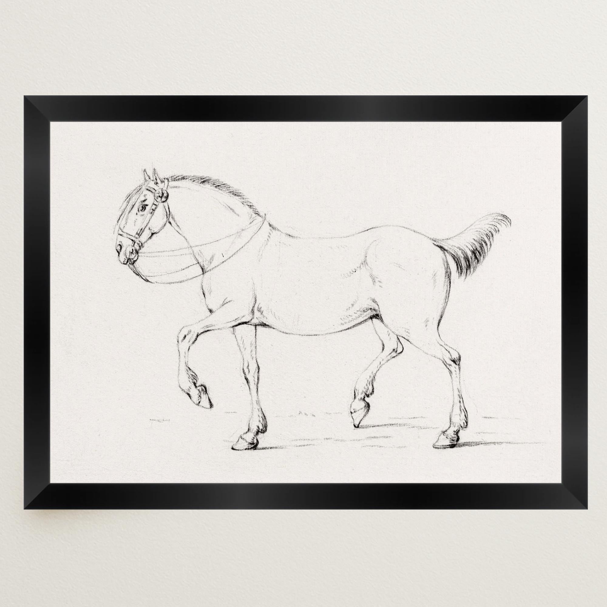 Horse Vintage Sketch Wall Art Print-Skudaboo
