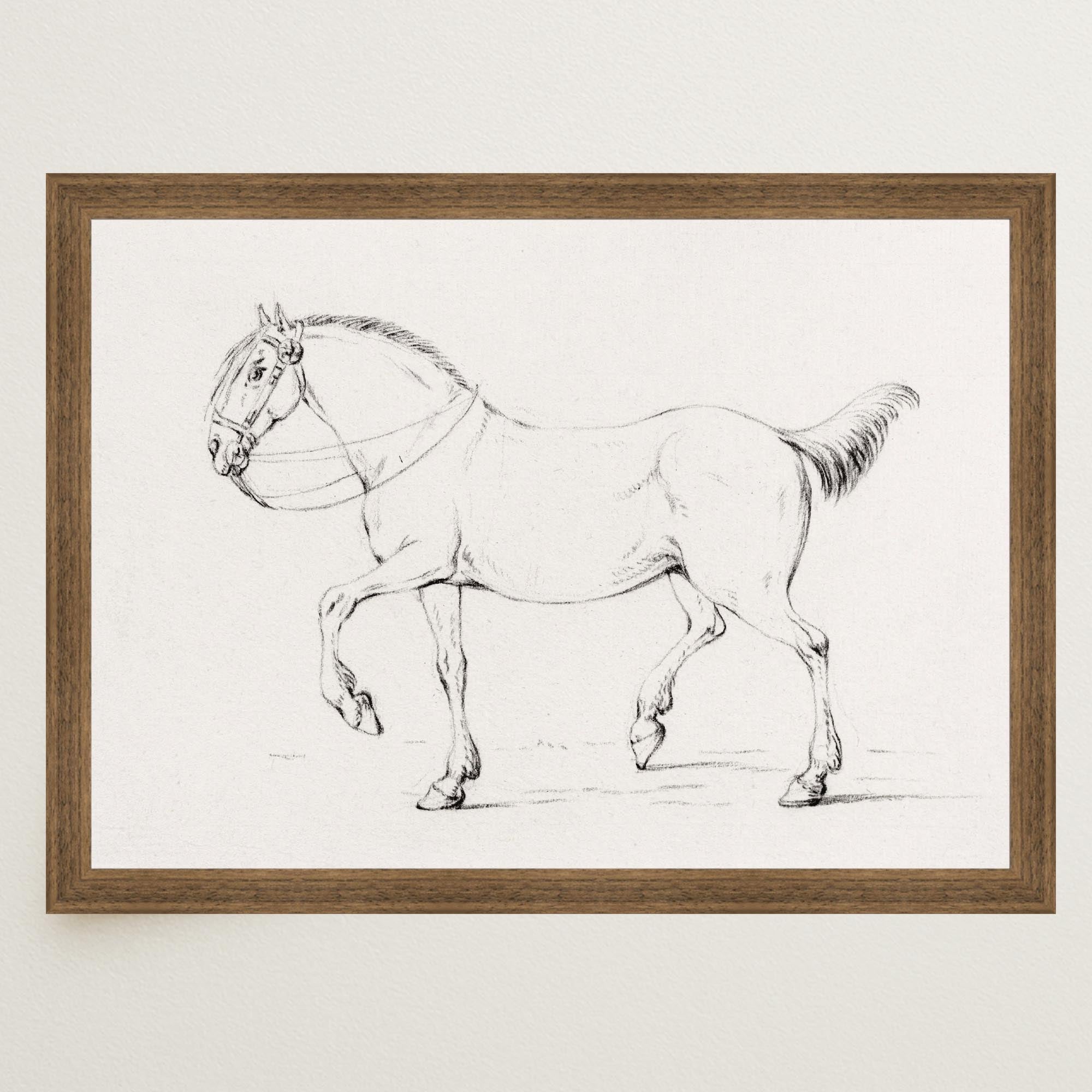 Horse Vintage Sketch Wall Art Print-Skudaboo