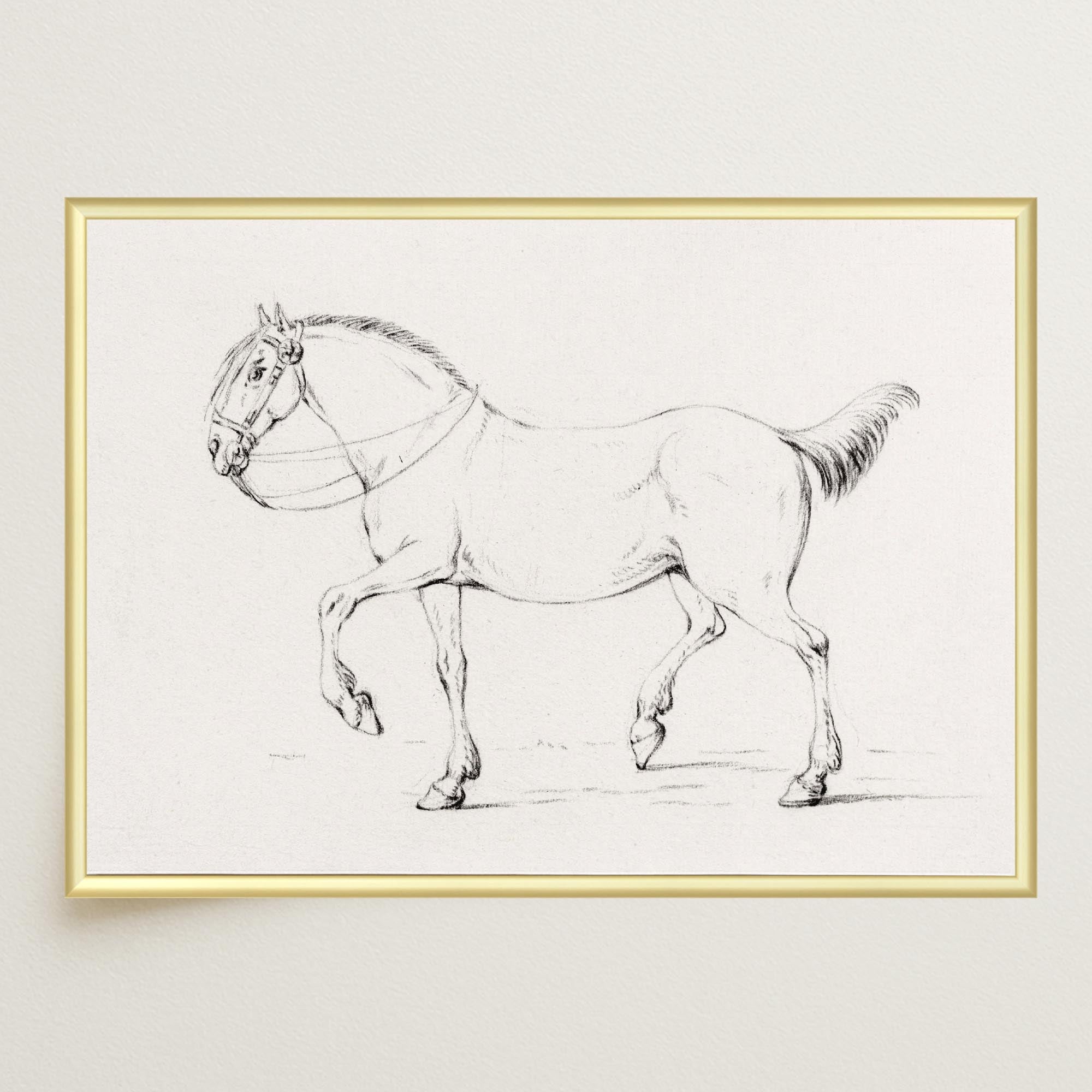 Horse Vintage Sketch Wall Art Print-Skudaboo
