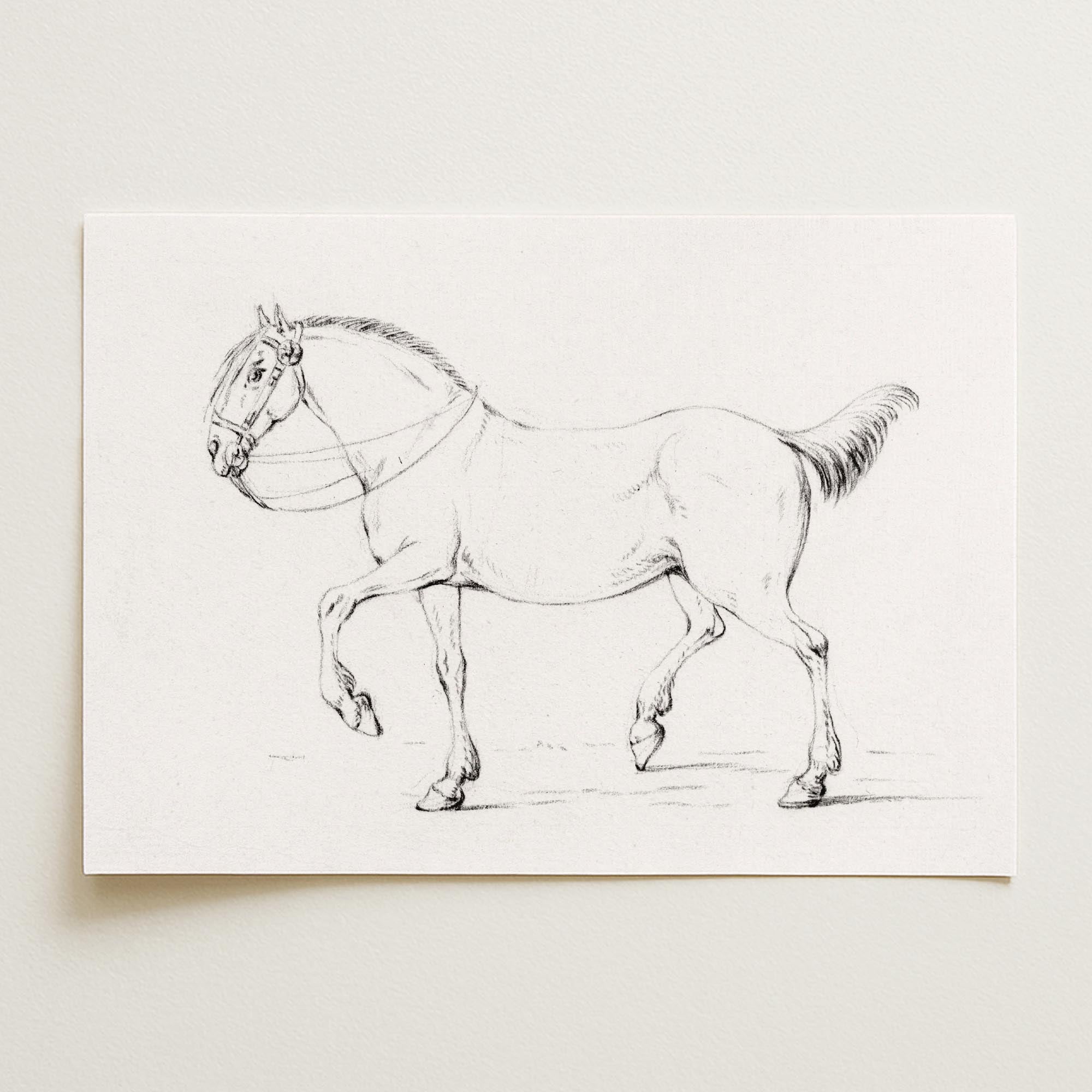 Horse Vintage Sketch Wall Art Print-Skudaboo