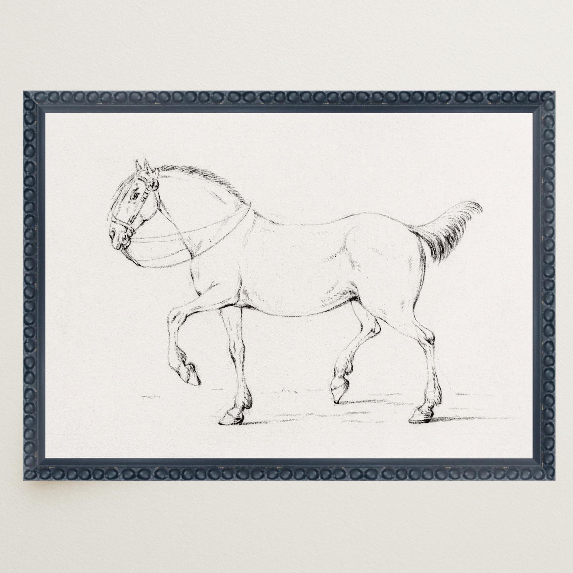 Horse Vintage Sketch Wall Art Print-Skudaboo