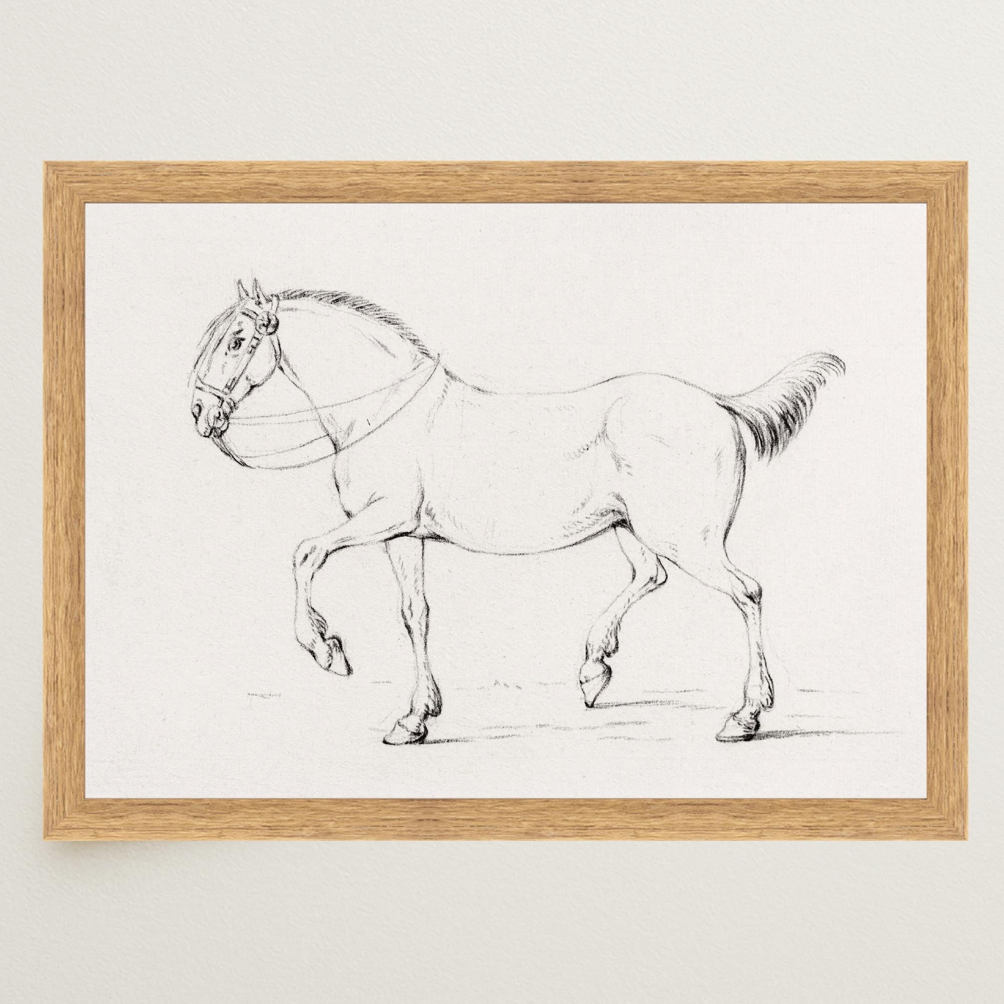 Horse Vintage Sketch Wall Art Print-Skudaboo