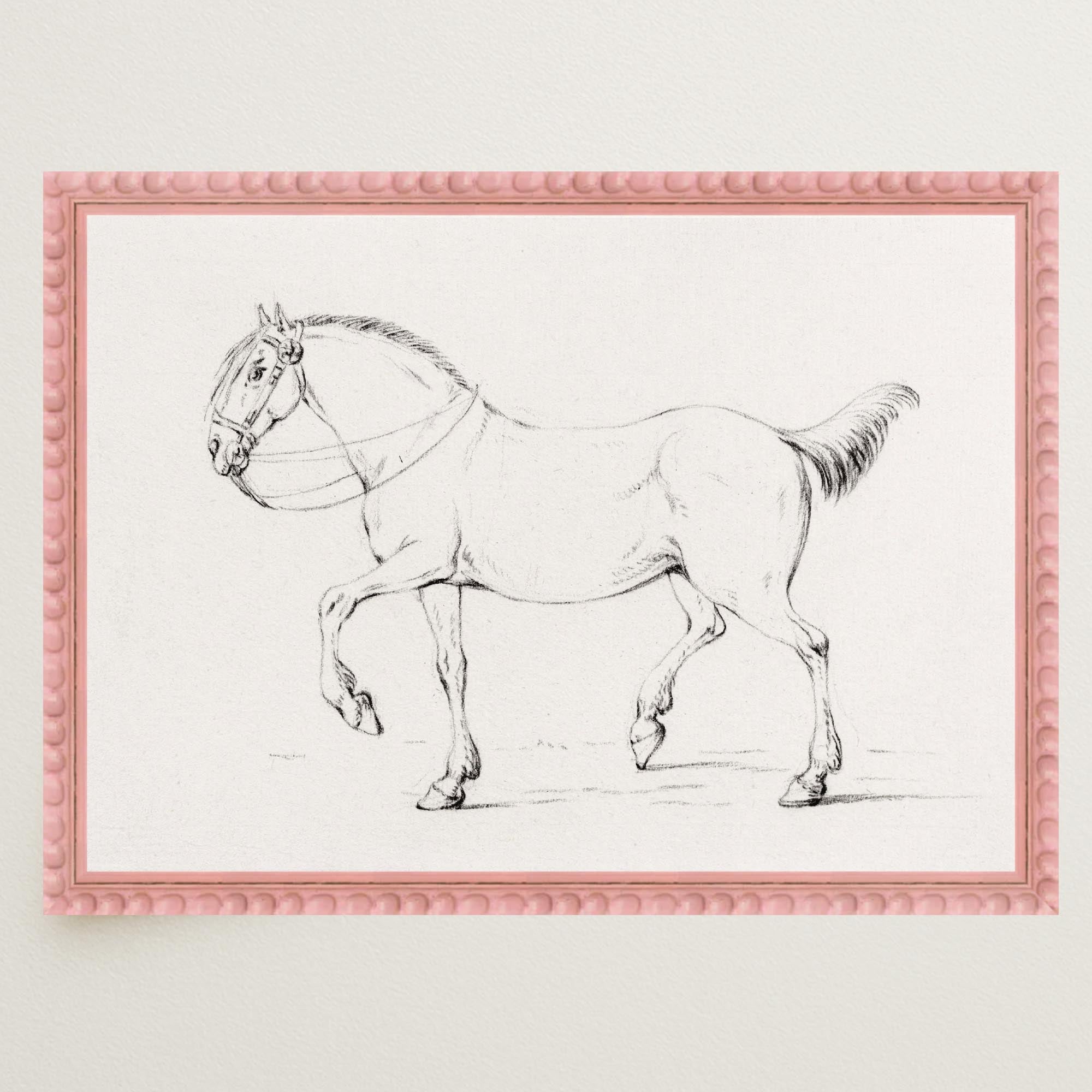 Horse Vintage Sketch Wall Art Print-Skudaboo